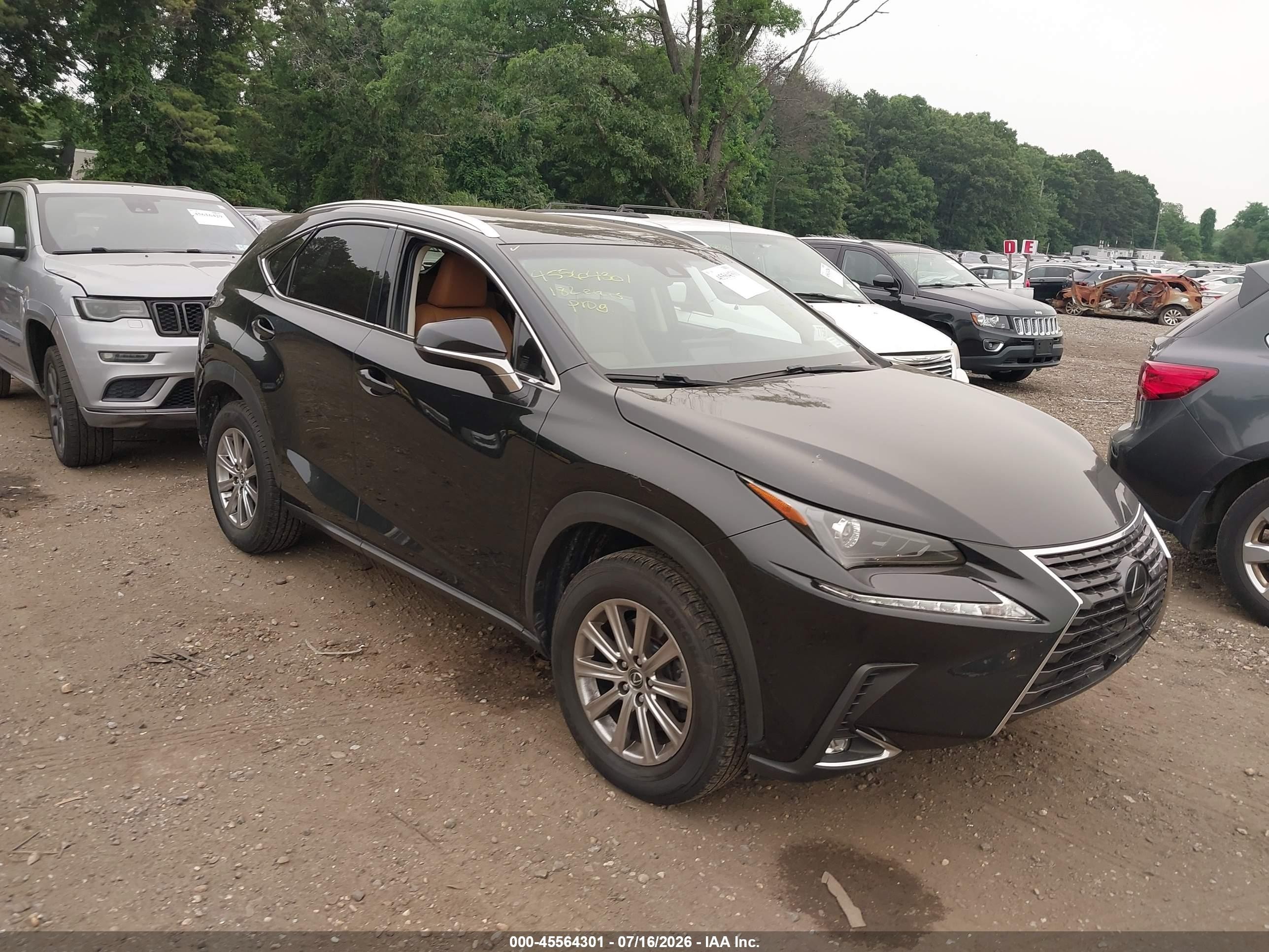 2018 Lexus NX 300, VIN JTJYARBZ0J2111487 — Side
