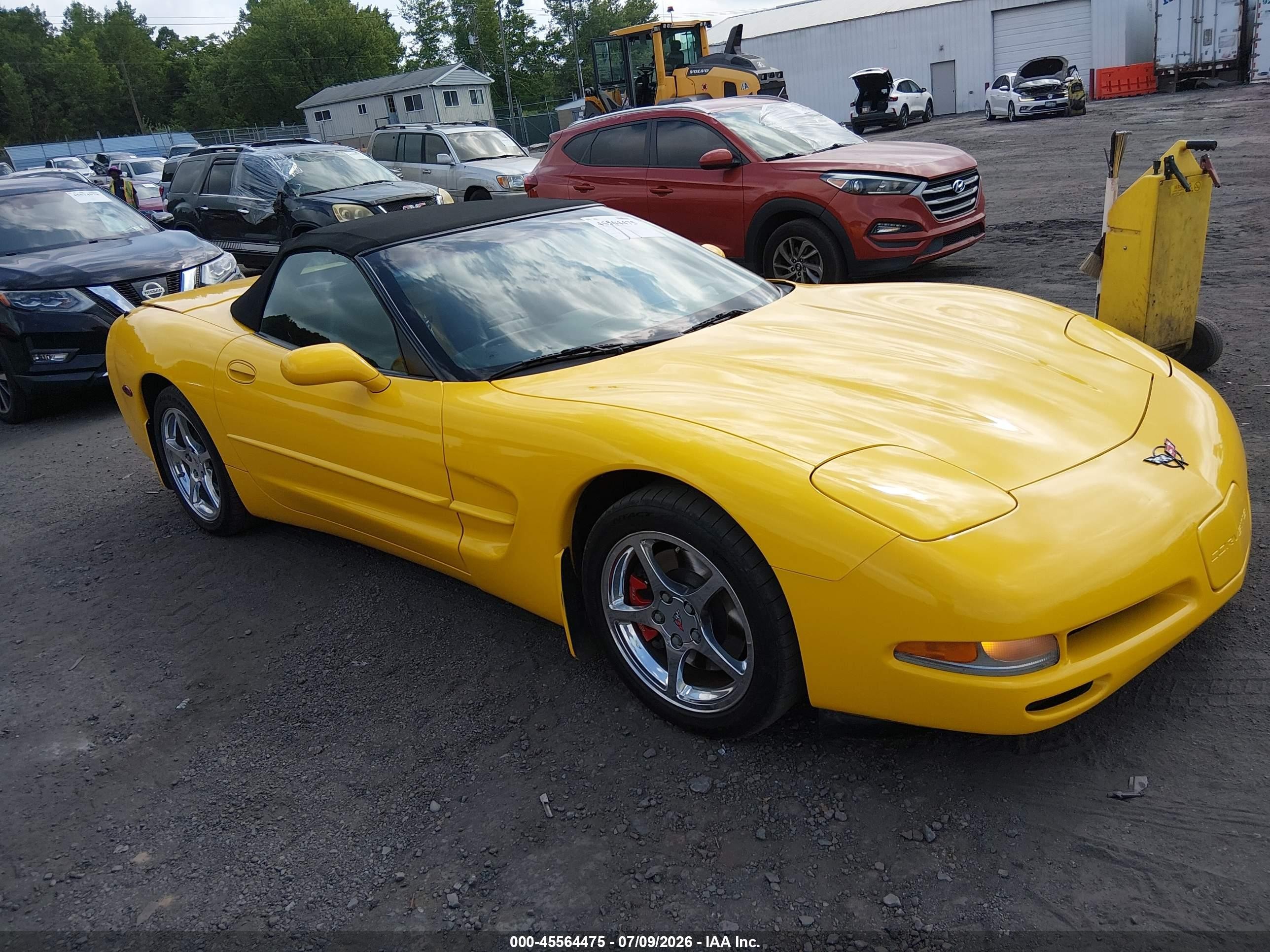 2002 Chevrolet Corvette, VIN 1G1YY32G225121926 — Rear end