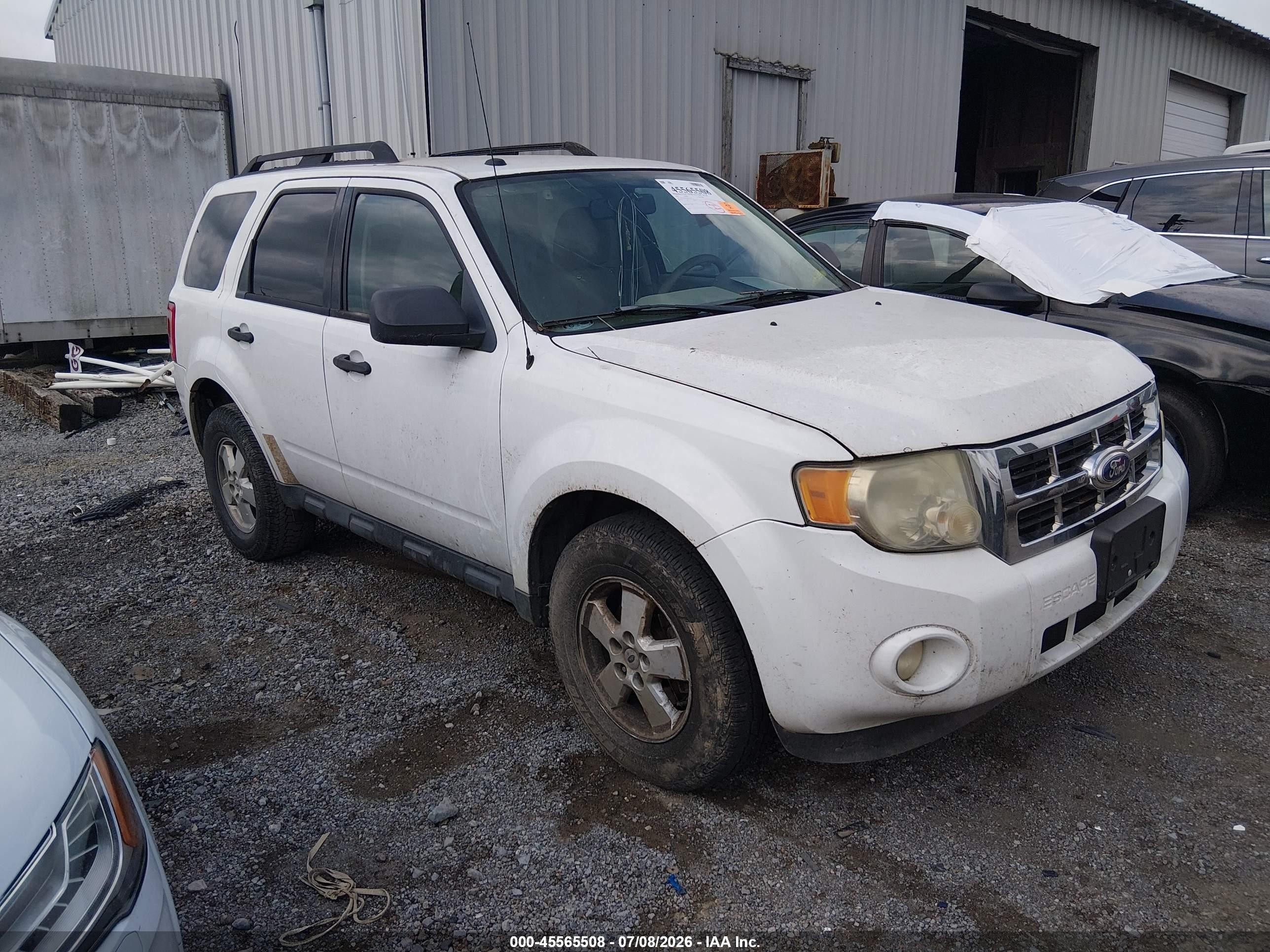 2010 Ford Escape XLT, VIN 1FMCU9DG0AKC42253 — Normal wear