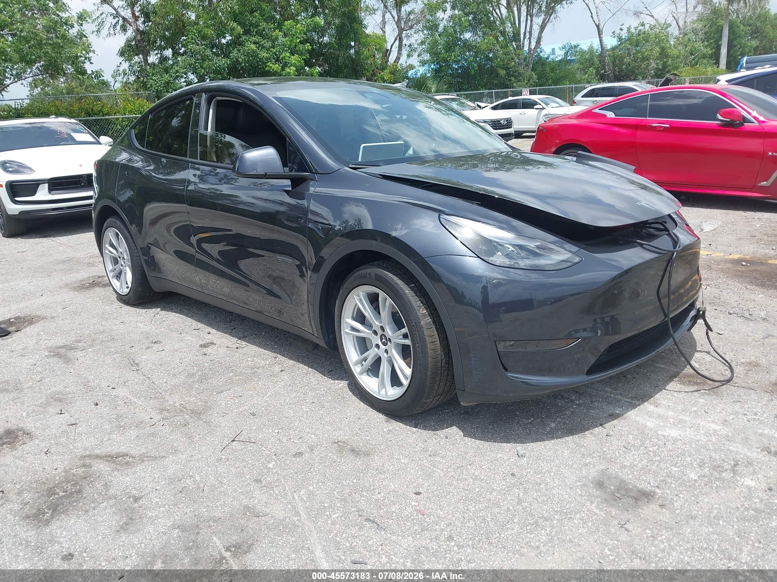 2024 Tesla Model Y, VIN 7SAYGDED1RF038517 — Side
