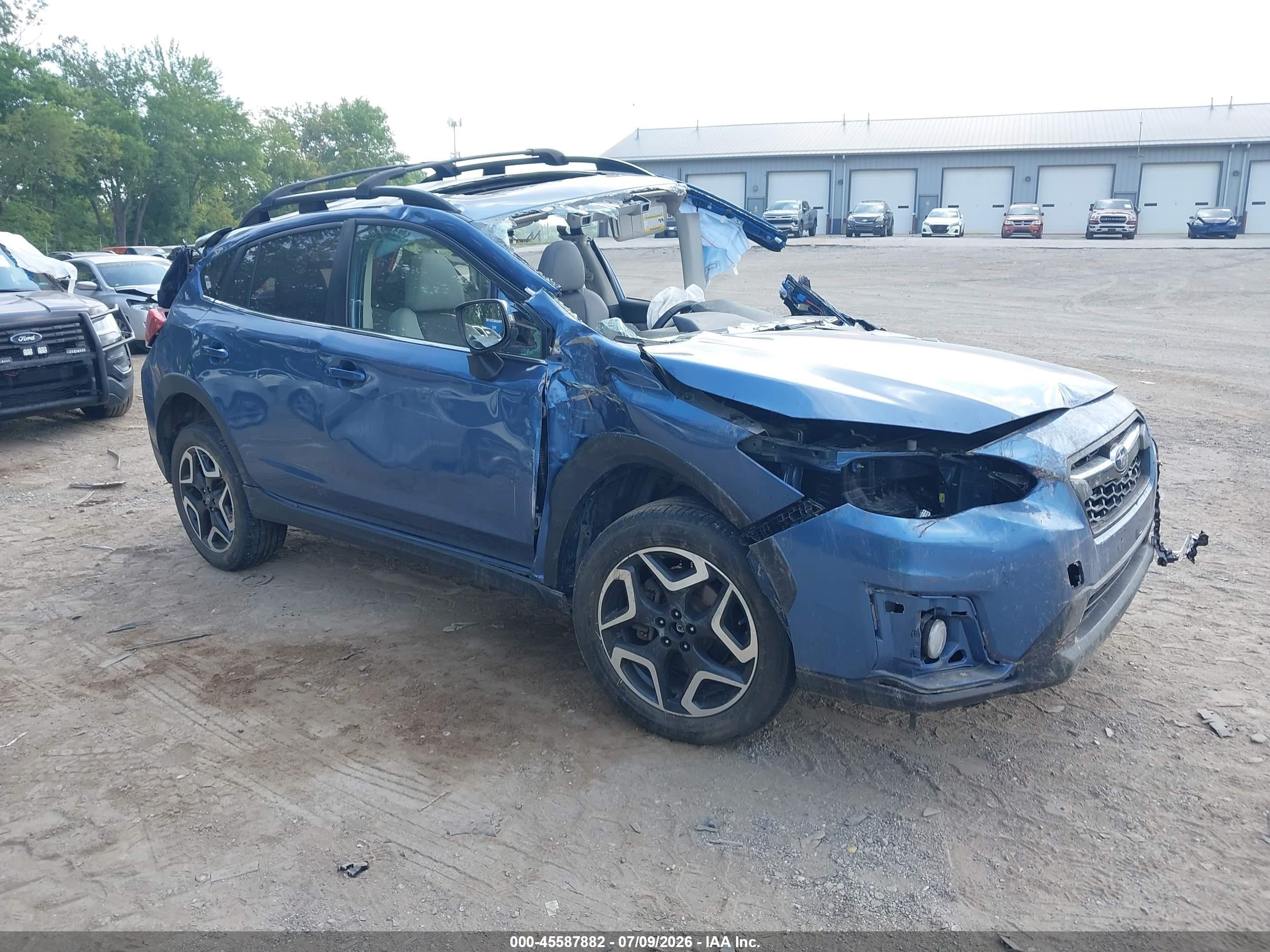 2019 Subaru Crosstrek Limited, VIN JF2GTAMC5K8291147 — Биологическое загрязнение