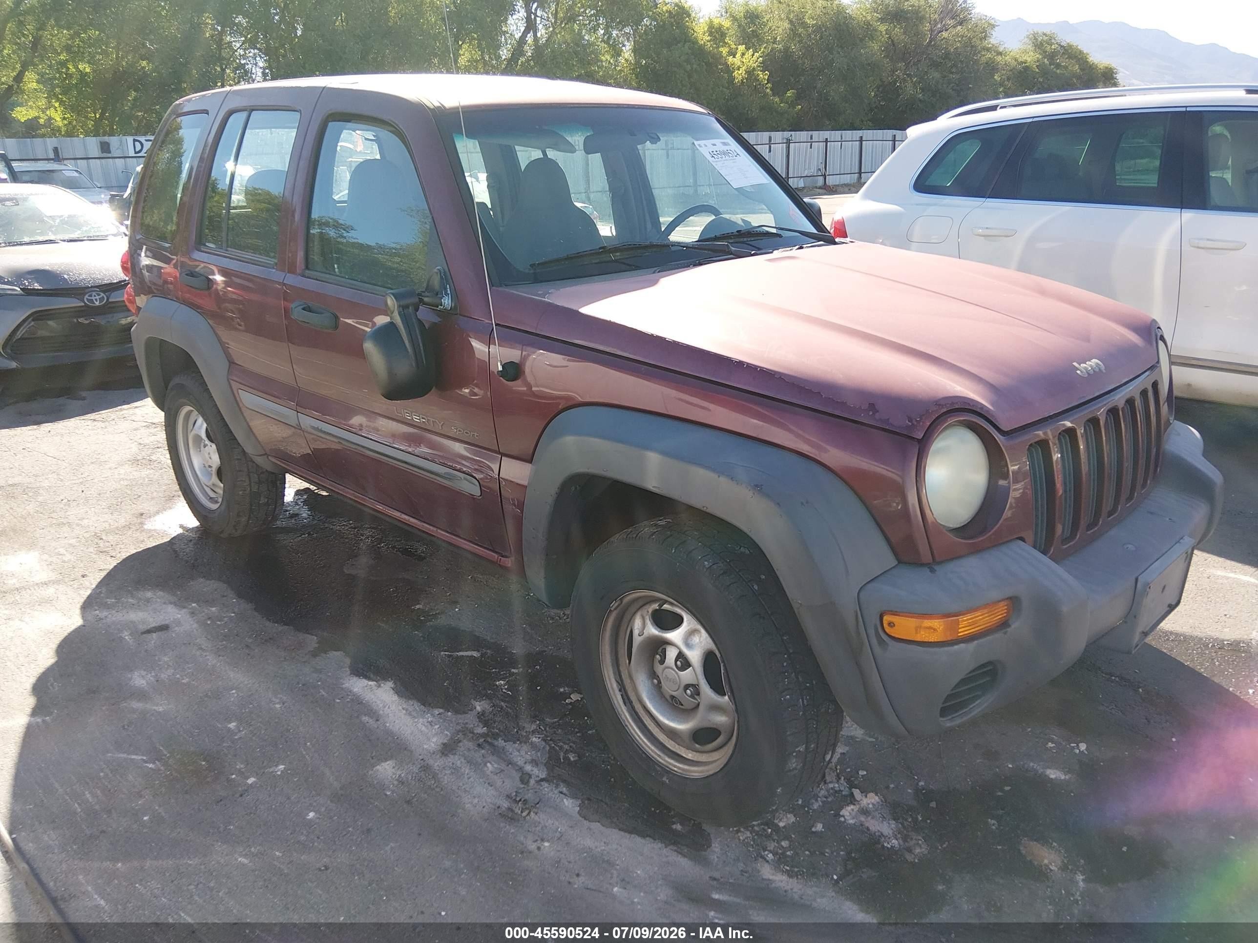 2002 Jeep Liberty Sport, VIN 1J4GL48K12W276572 — Бок