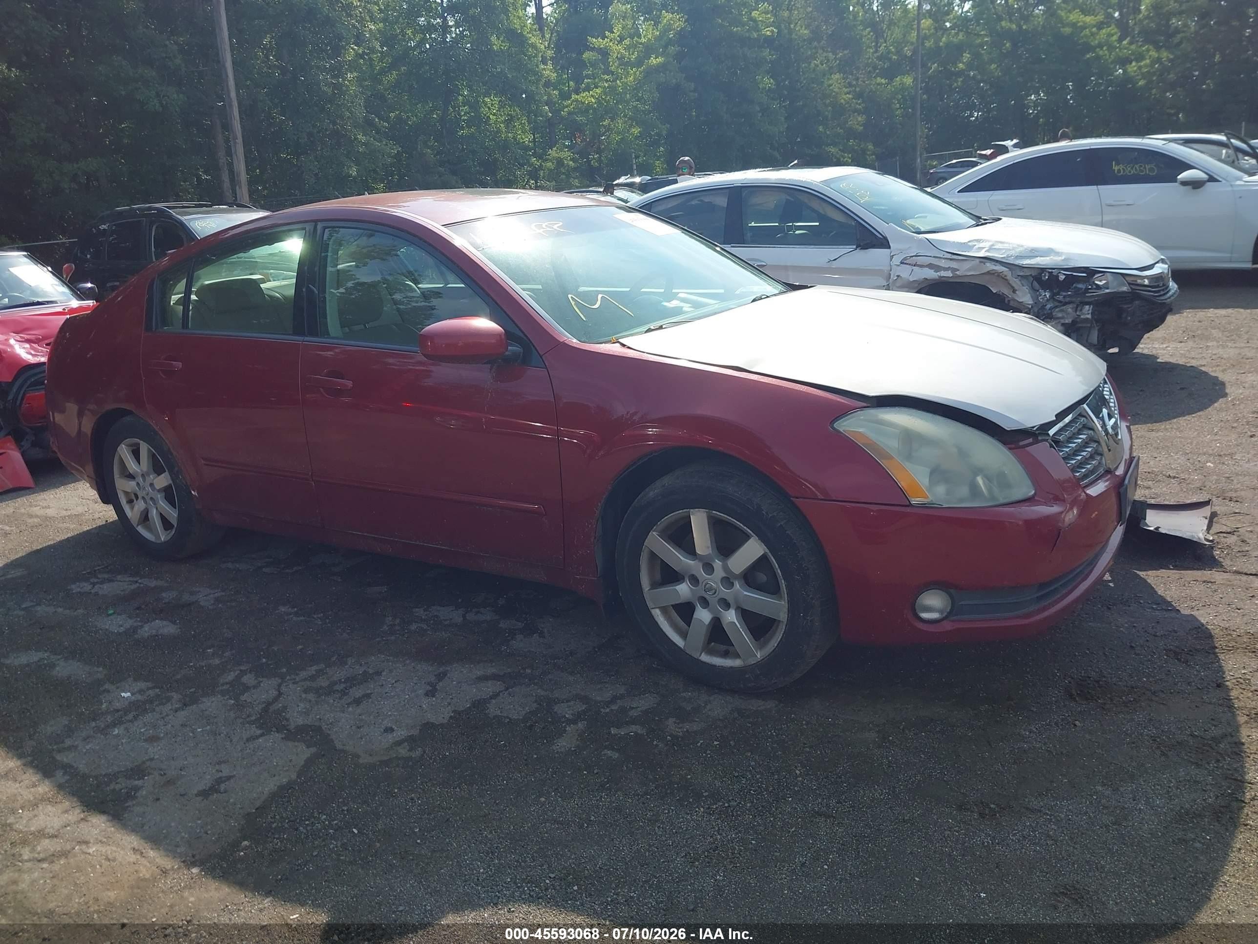 2004 Nissan Maxima SL, VIN 1N4BA41E74C873097 — Перед
