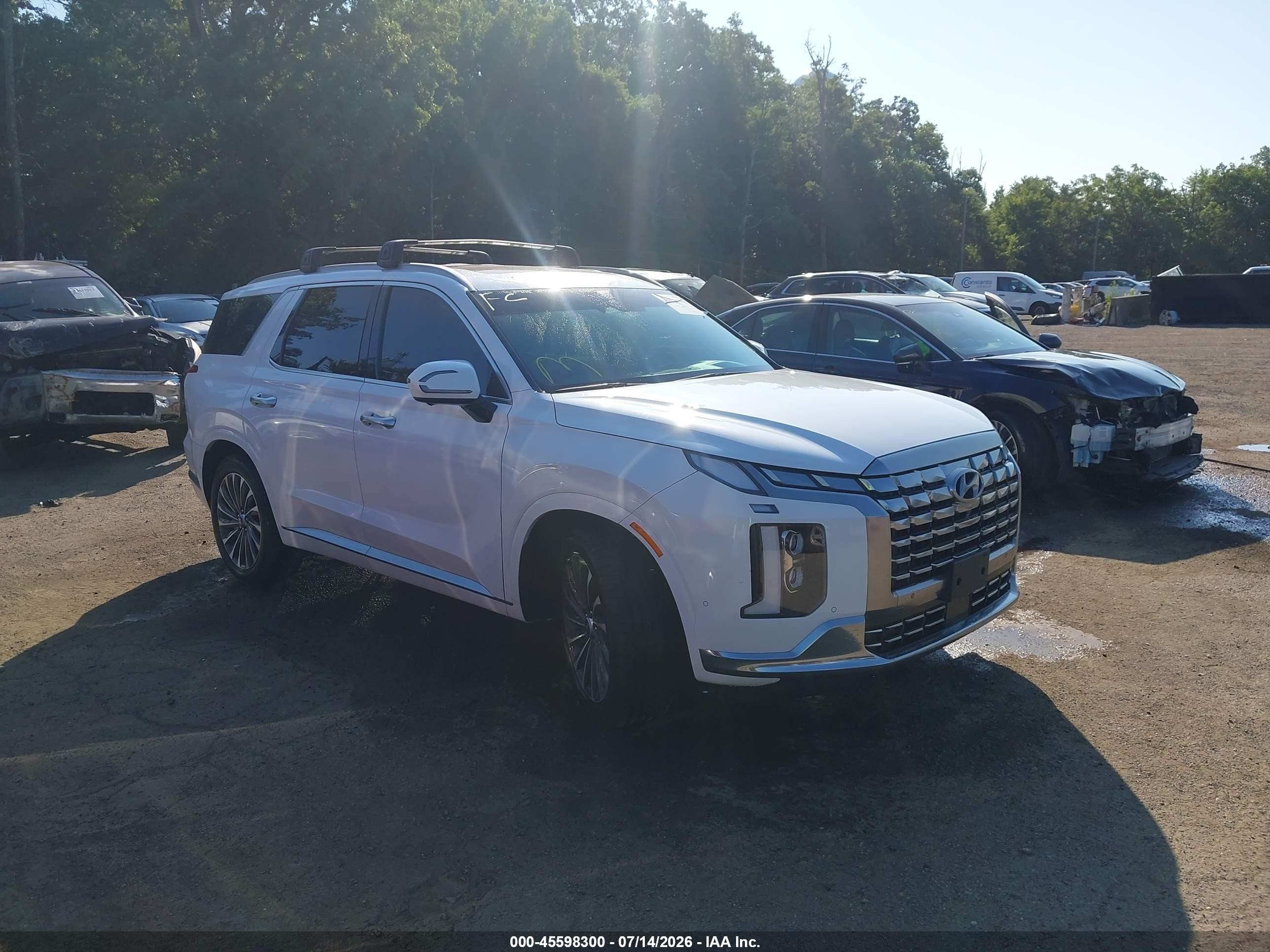 2024 Hyundai Palisade Calligraphy, VIN KM8R7DGE1RU730366 — Side