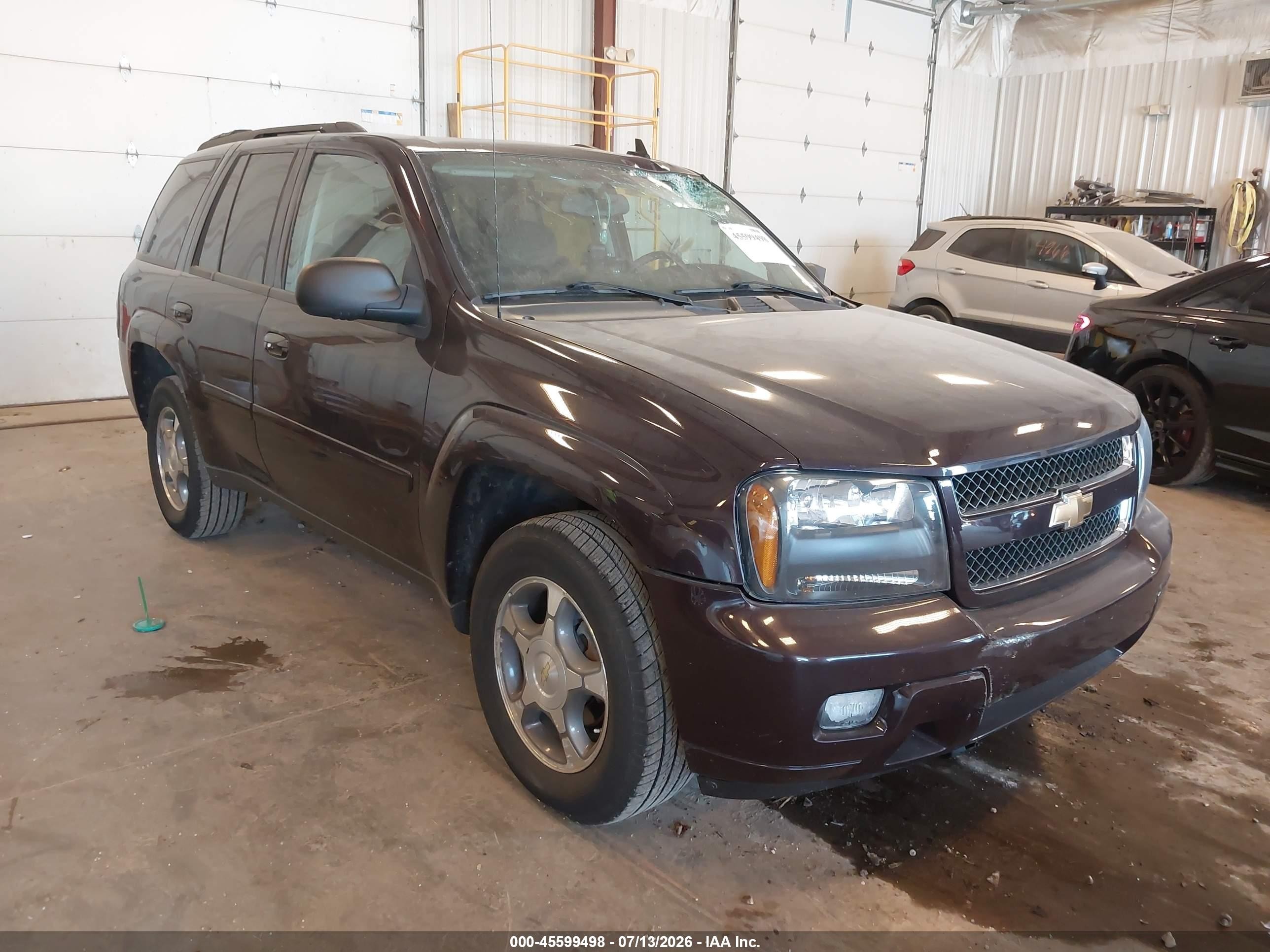 2008 Chevrolet TrailBlazer 1LT, VIN 1GNDT13SX82170563 — Roof