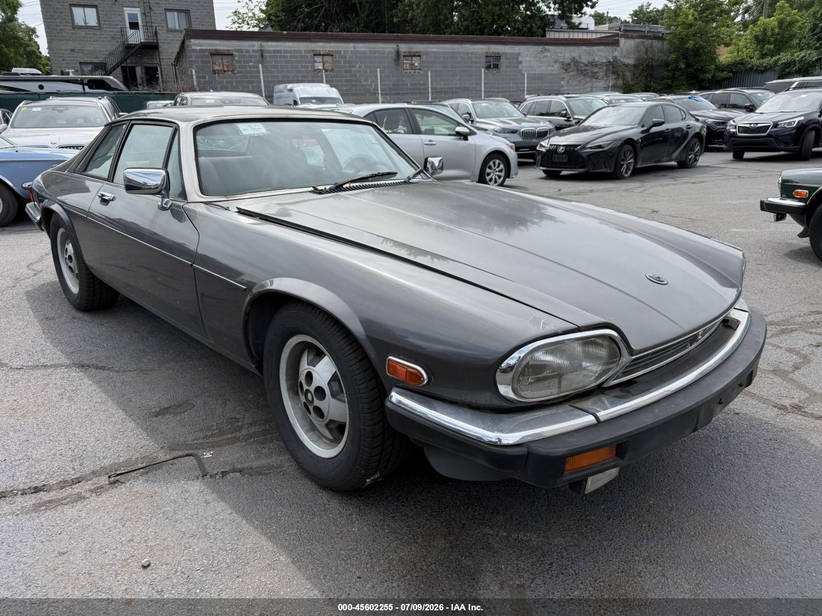 1985 Jaguar XJ, VIN SAJNV5842FC119317 — Normal wear