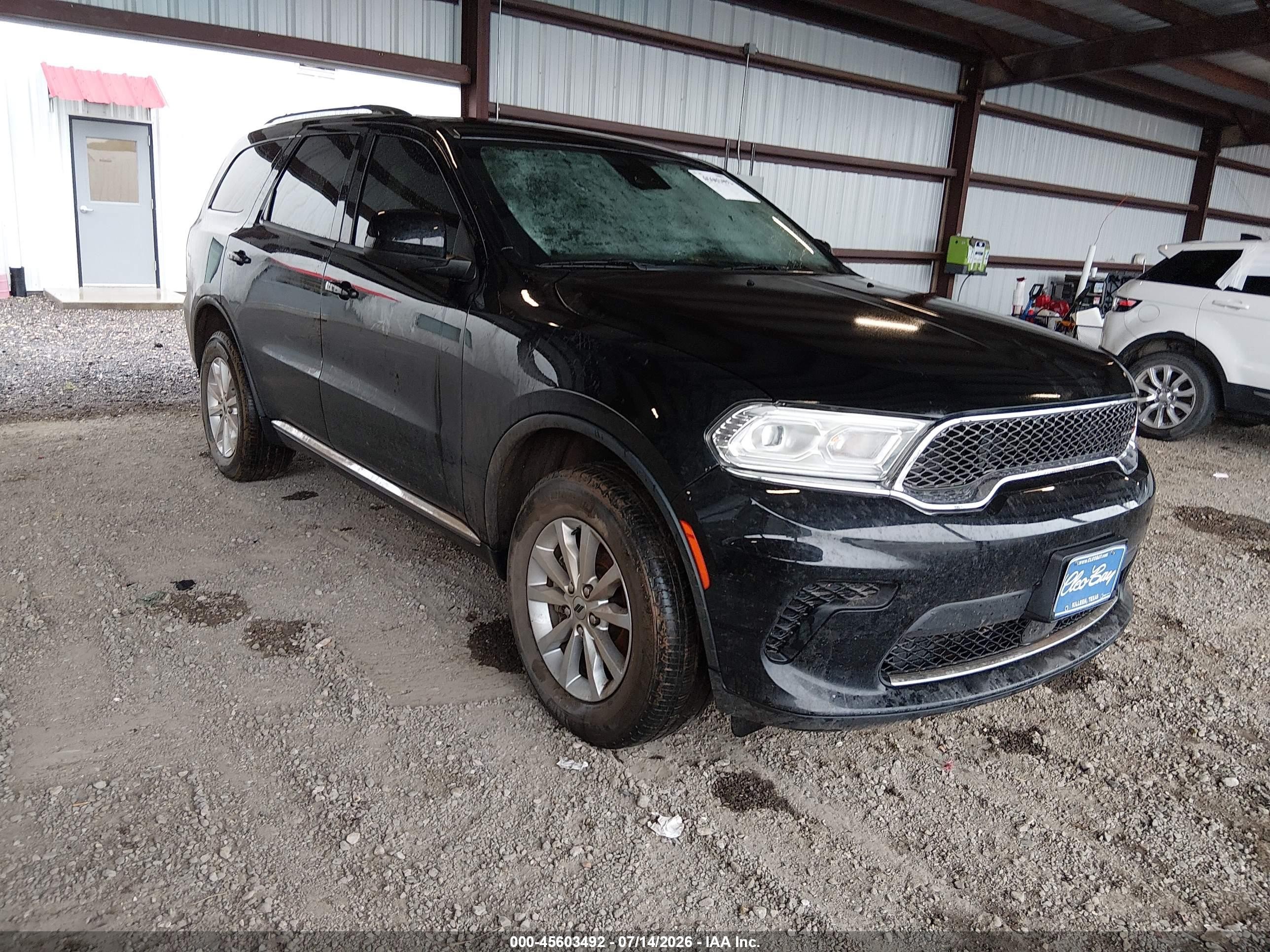 2023 Dodge Durango SXT Launch Edition, VIN 1C4RDJAG3PC598395 — Water / flood
