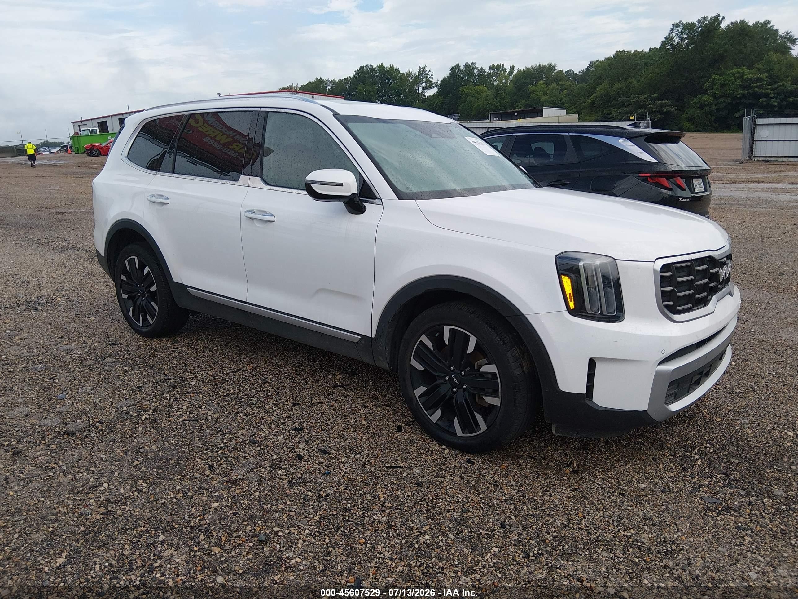 2024 Kia Telluride SX, VIN 5XYP54GCXRG431640 — Water / flood