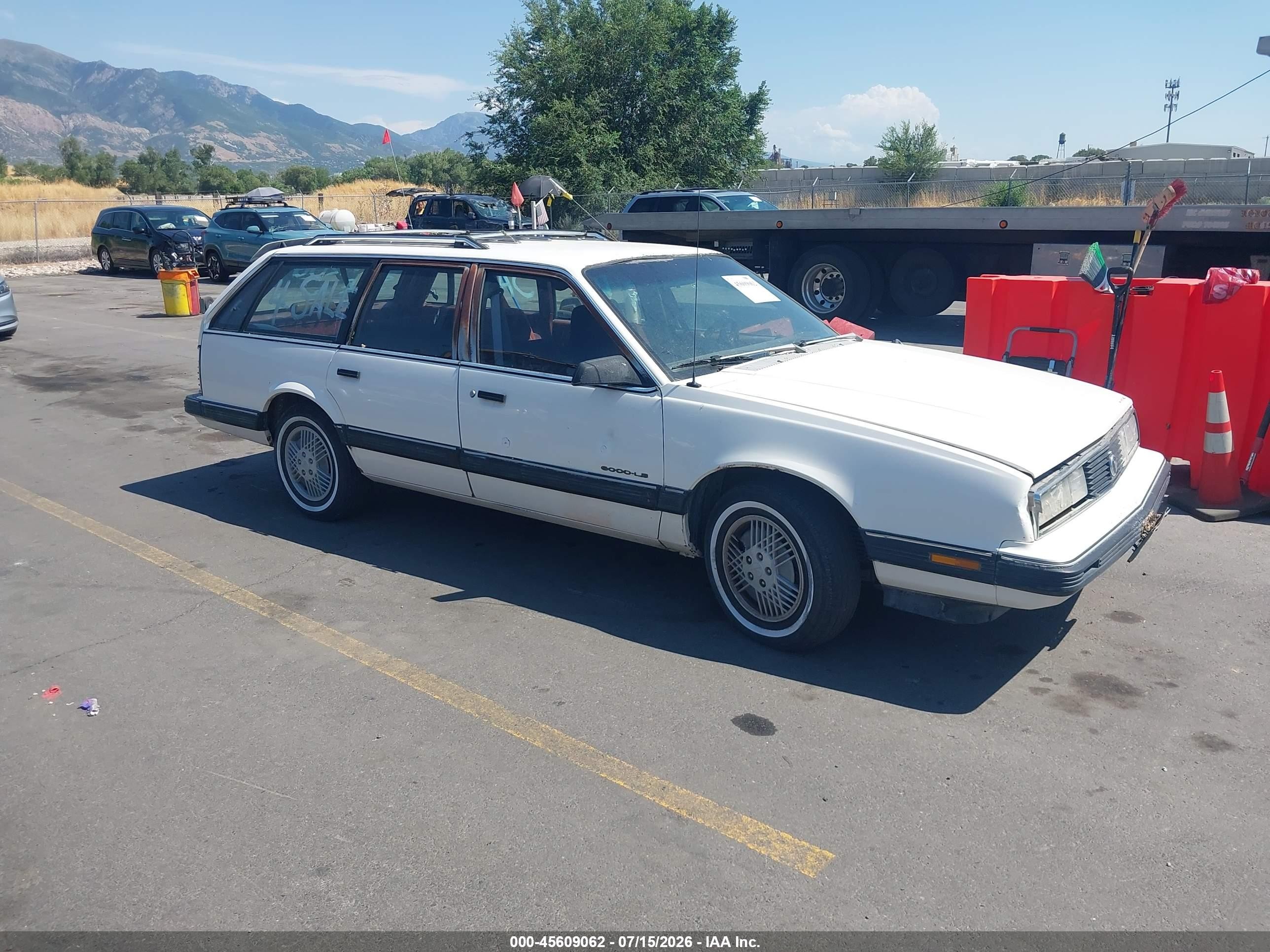 1991 Pontiac 6000, VIN 1G2AF84T0M6229405 — All over