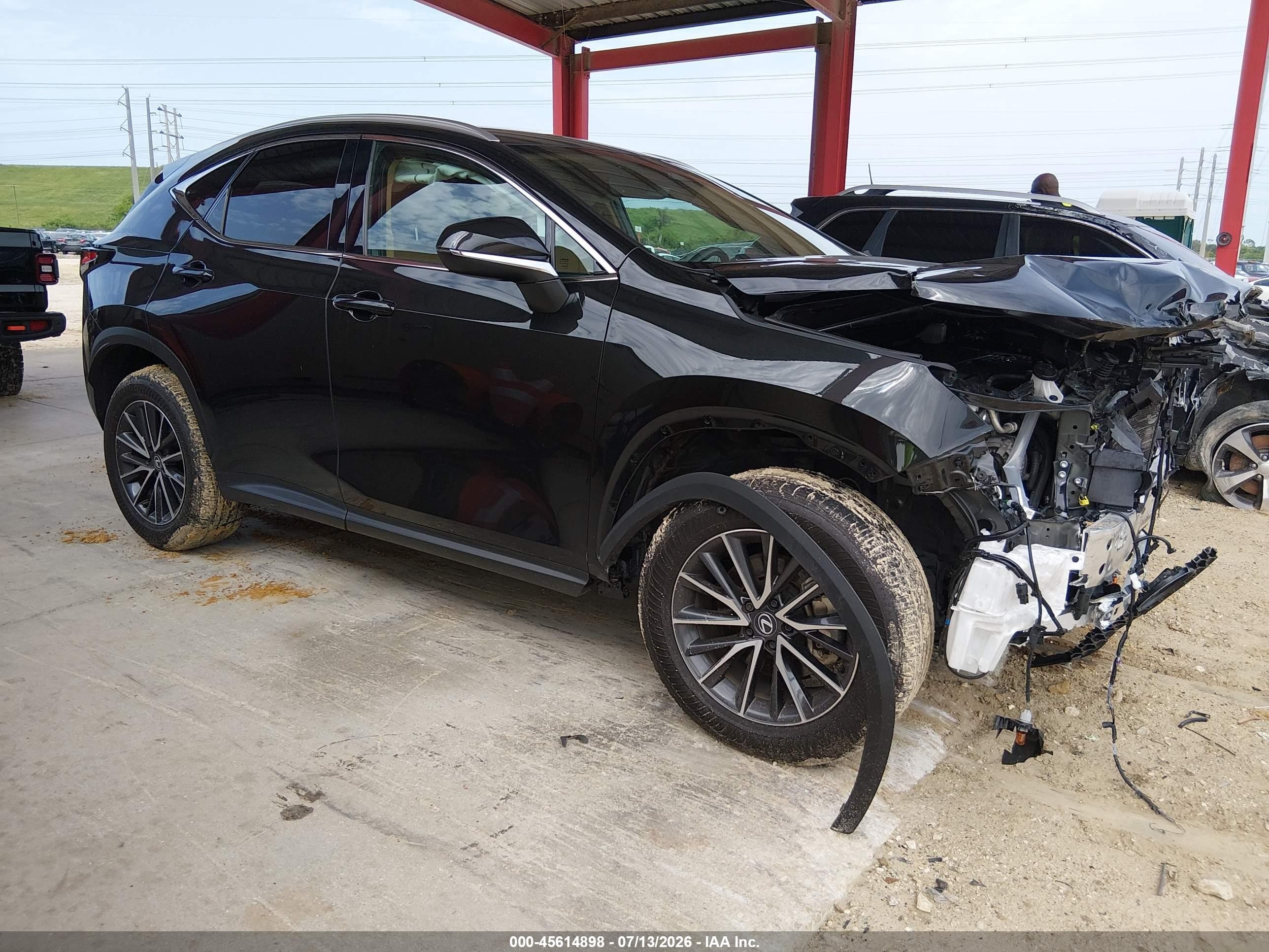 2025 Lexus NX 250, VIN 2T2ADCAZ9SC024437 — Front end