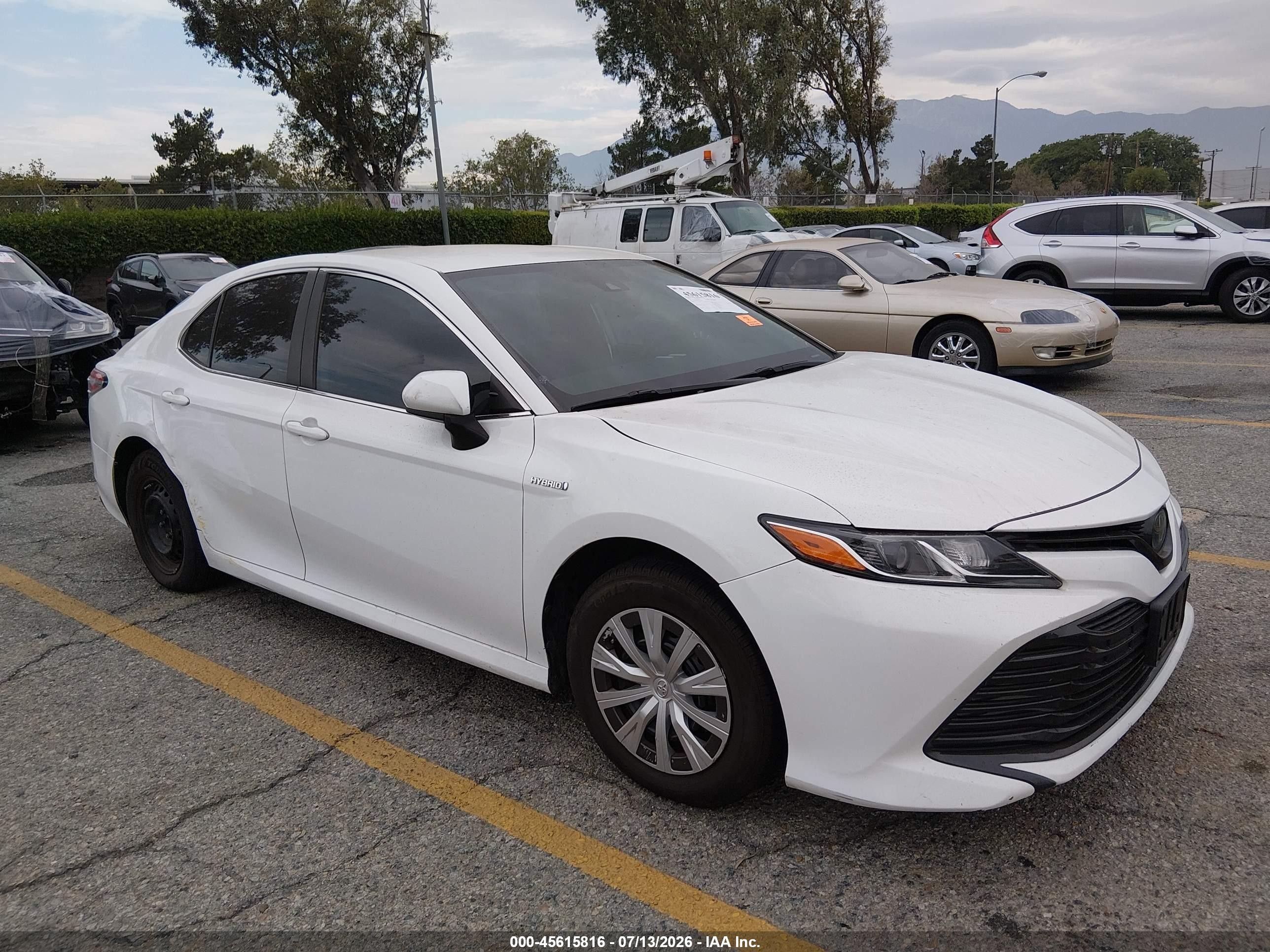 2019 Toyota Camry Hybrid LE, VIN 4T1B31HK5KU517619 — Side