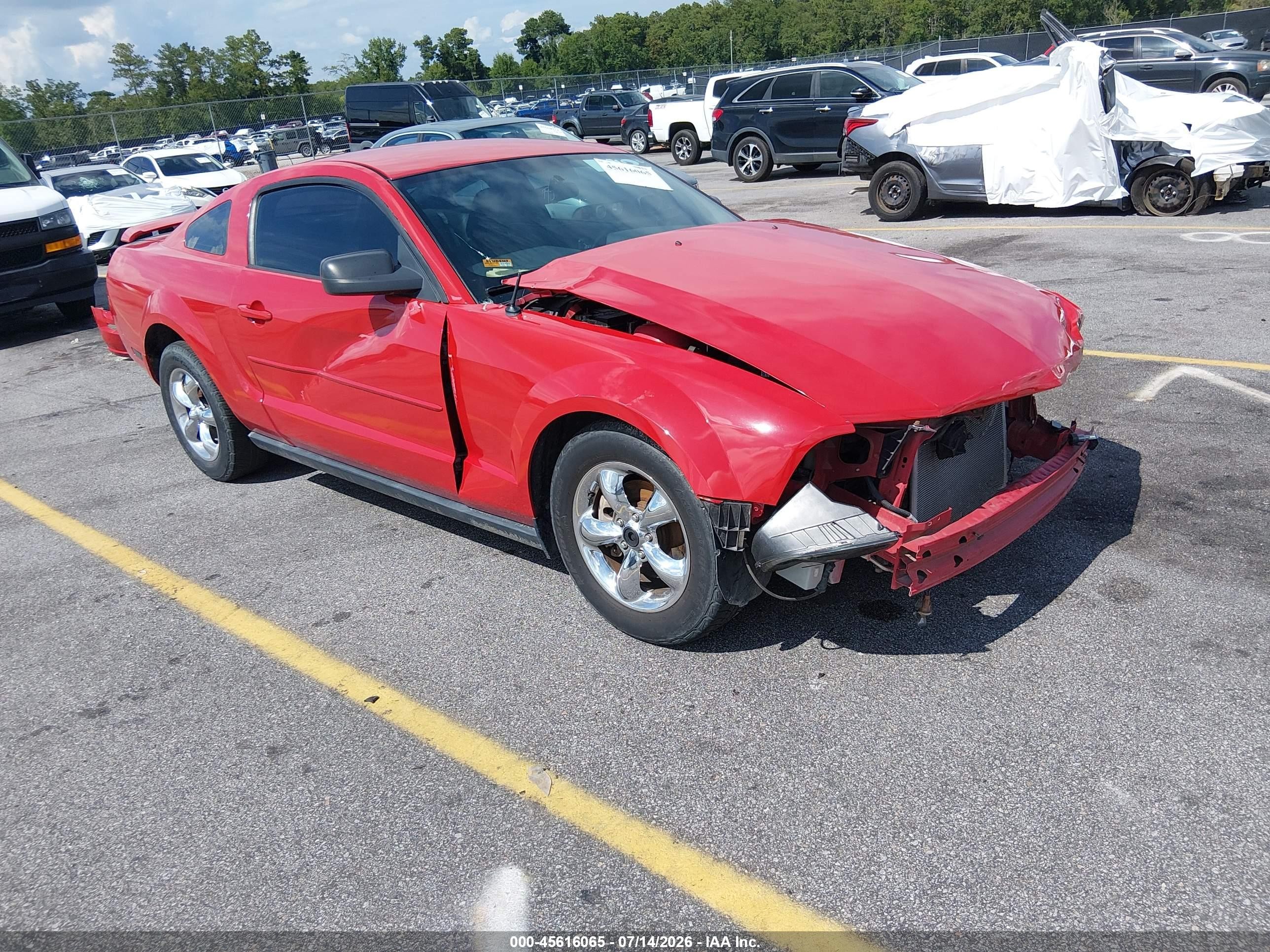 2006 Ford Mustang Standard, VIN 1ZVFT80N565244036 — Front end