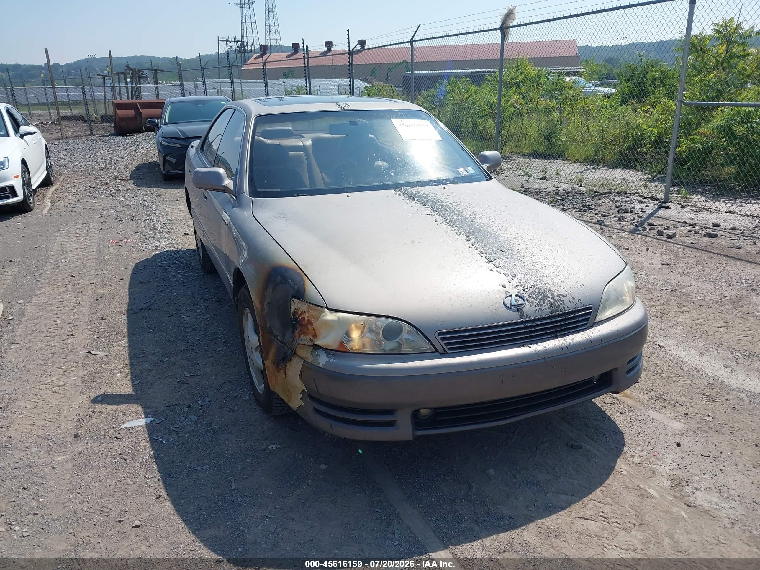 1994 Lexus ES 300, VIN JT8GK13TXR0055913 — Burn