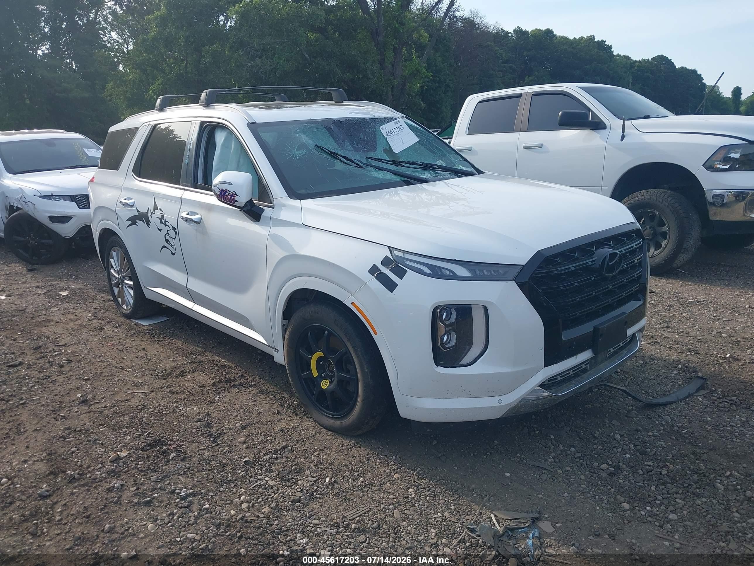 2020 Hyundai Palisade Limited, VIN KM8R5DHE0LU134273 — Side
