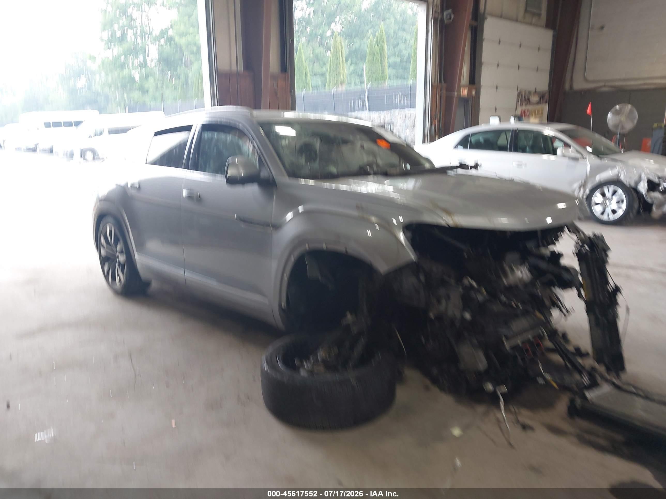 2021 Volkswagen Atlas SEL Premium R-Line, VIN 1V2FE2CA4MC234866 — Биологическое загрязнение