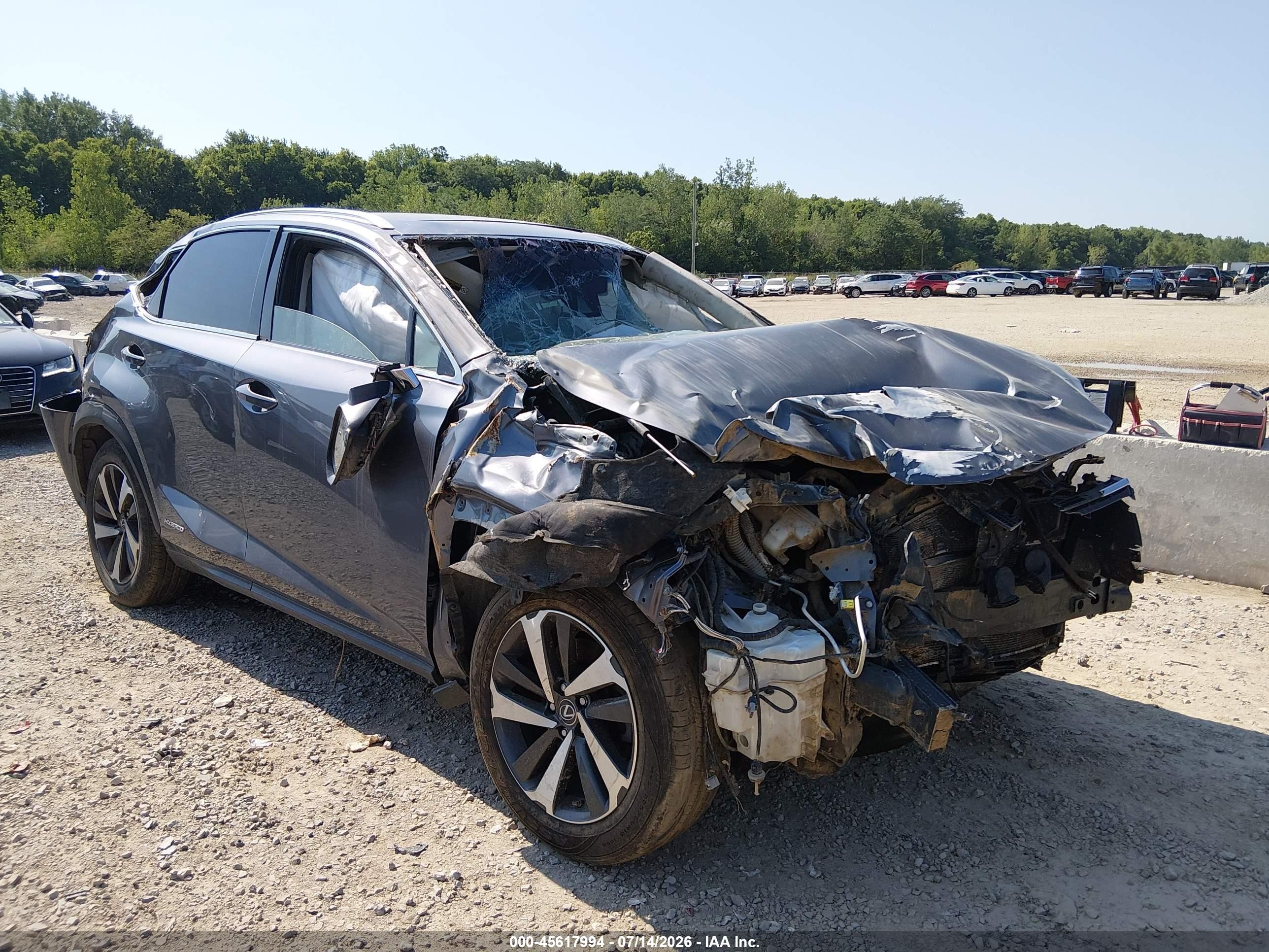 2018 Lexus NX 300h, VIN JTJBJRBZ1J2093829 — All over