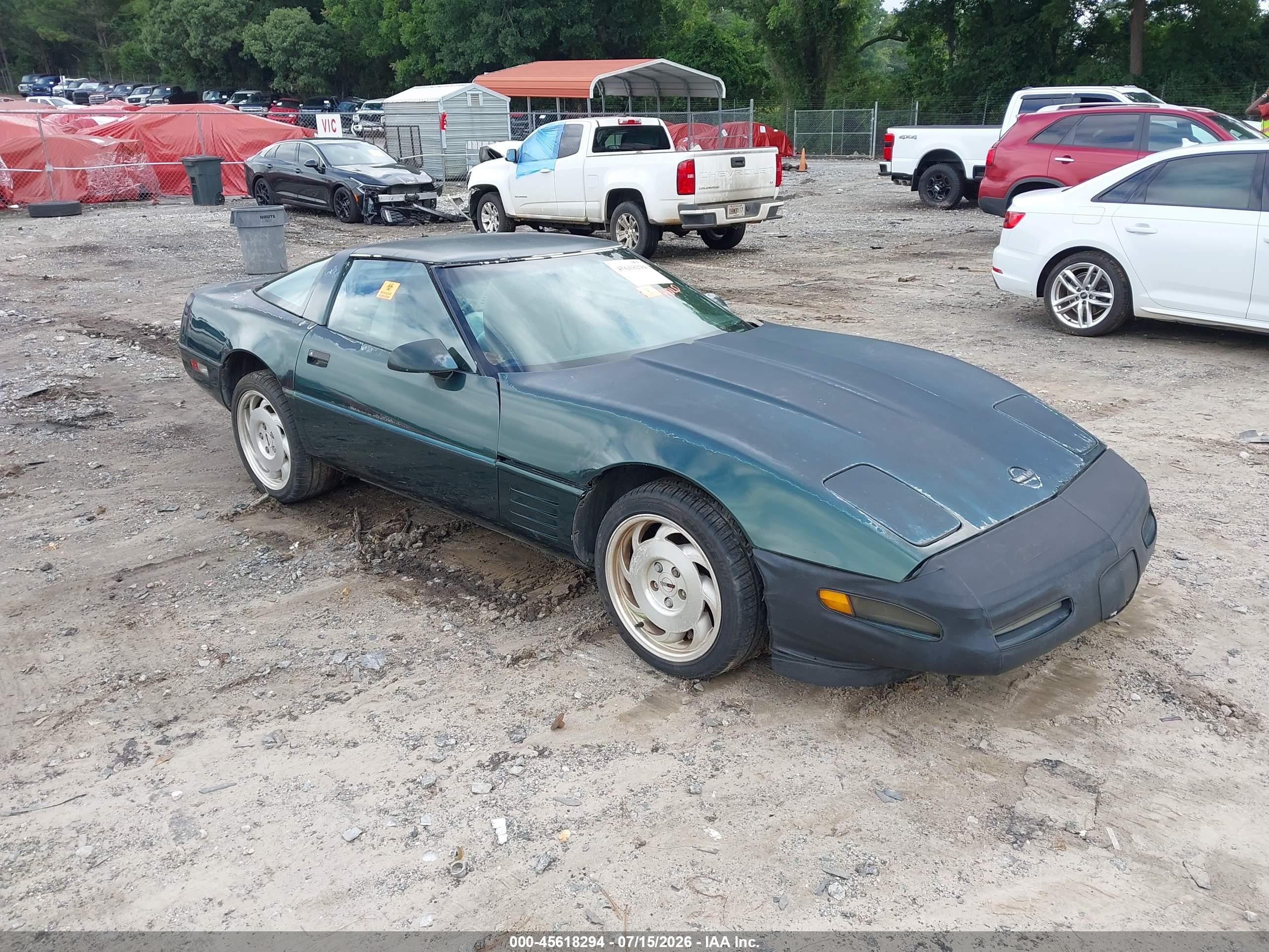 1994 Chevrolet Corvette, VIN 1G1YY22P3R5104024 — Biohazard / chemical