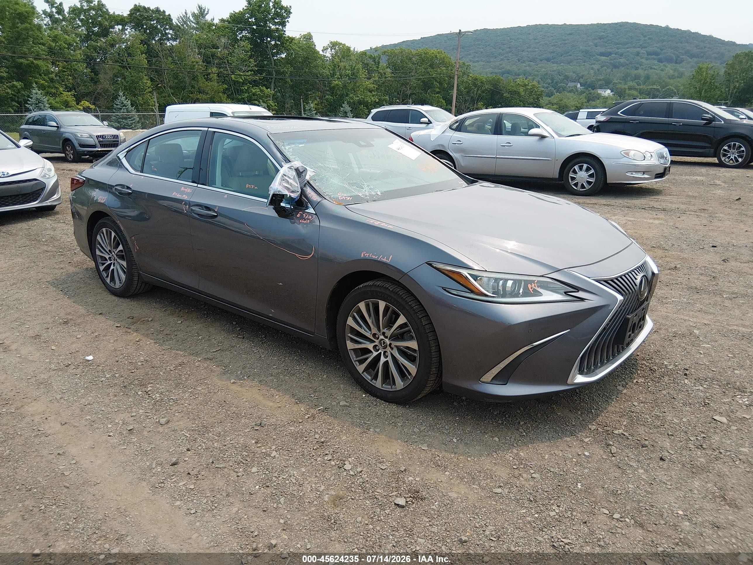 2020 Lexus ES 350, VIN 58ADZ1B14LU064594 — Стихия