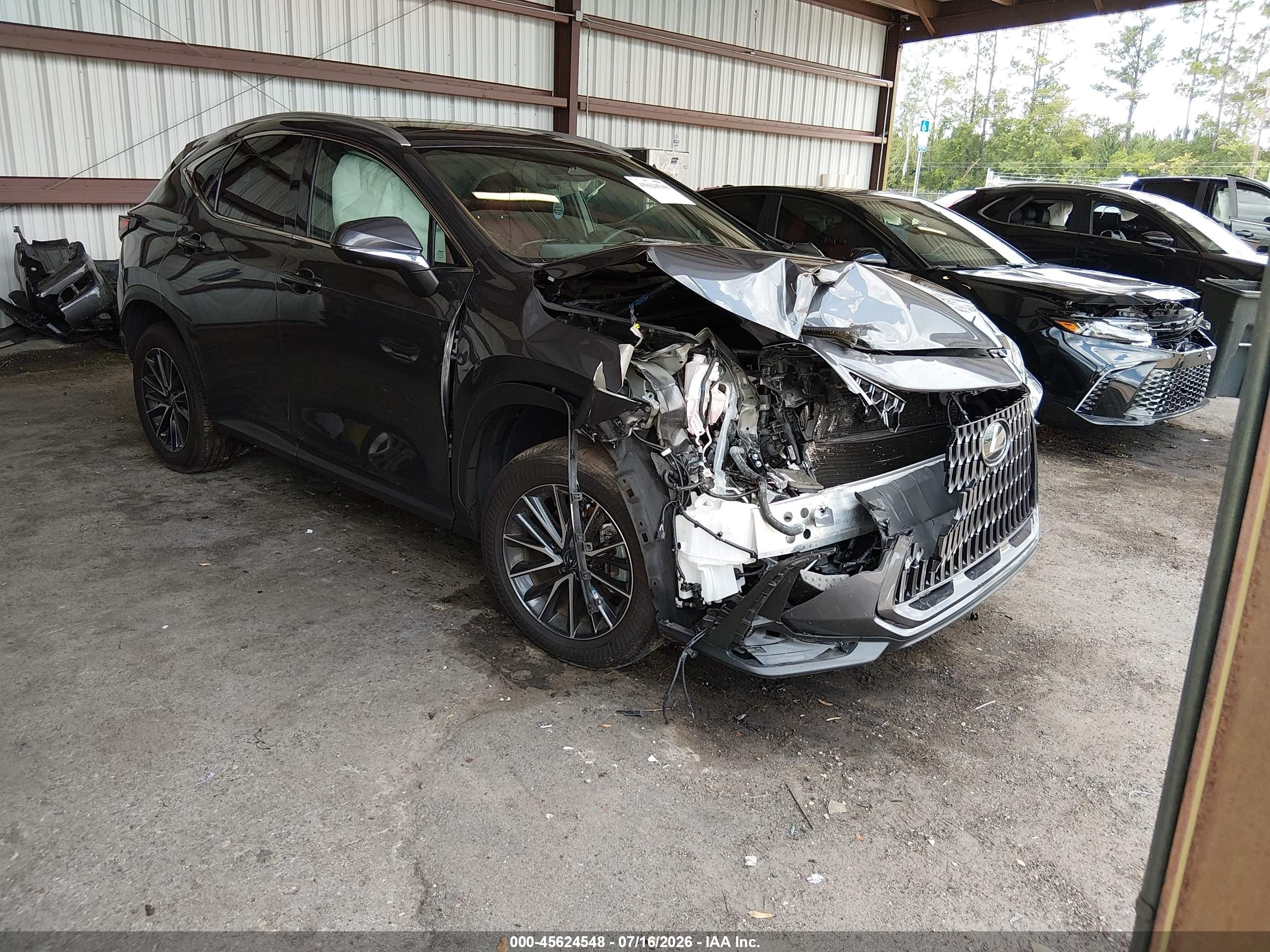 2024 Lexus NX 350h Luxury, VIN 2T2HKCEZ3RC031389 — Front end