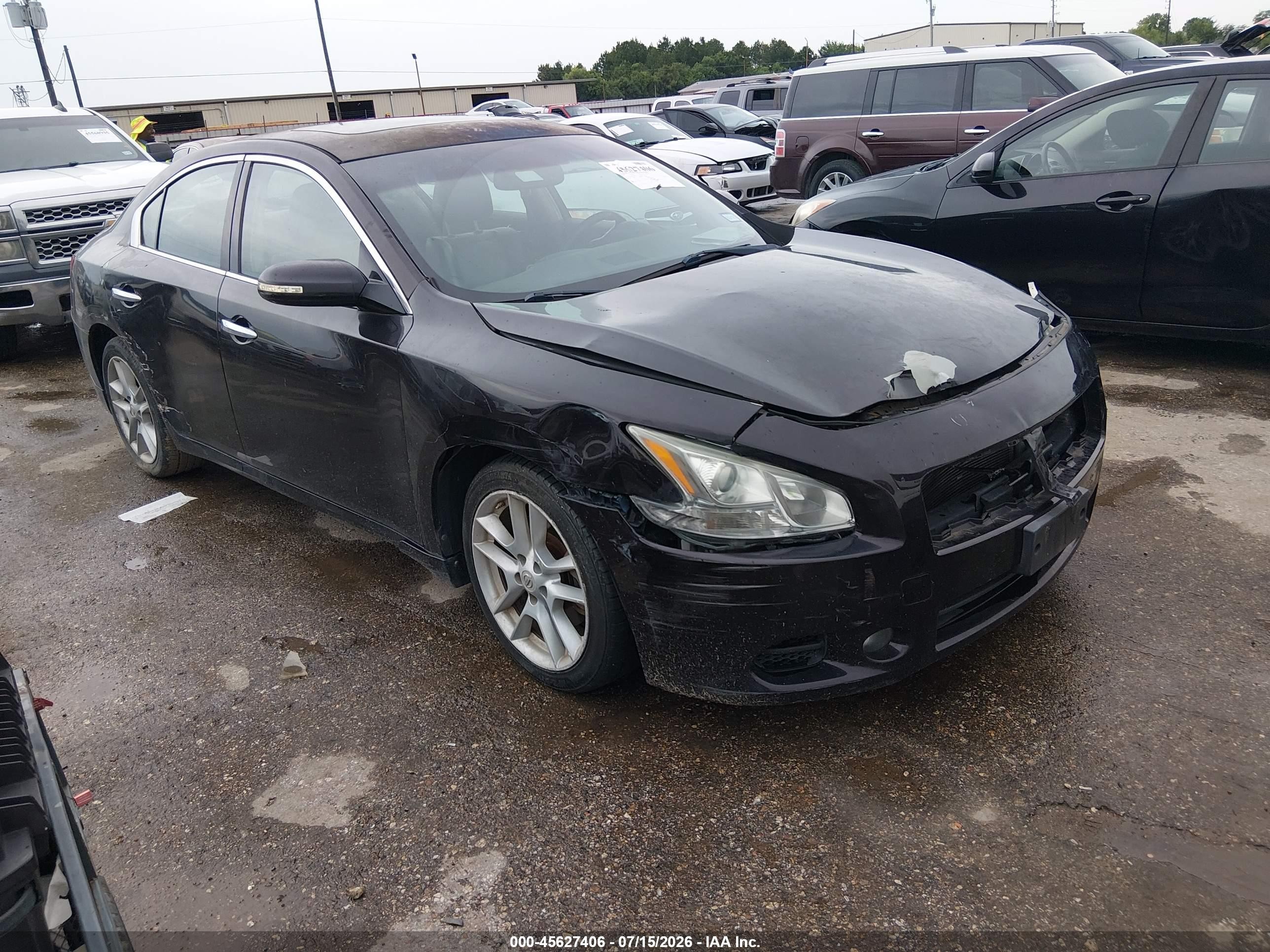 2010 Nissan Maxima SV, VIN 1N4AA5AP4AC842775 — Front end