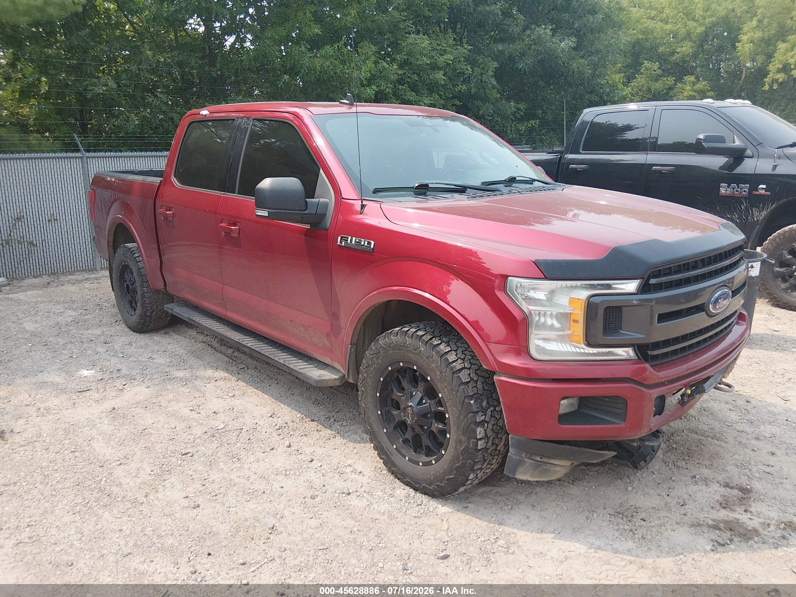2019 Ford F-150 XL, VIN 1FTEW1E5XKFD35846 — Front end