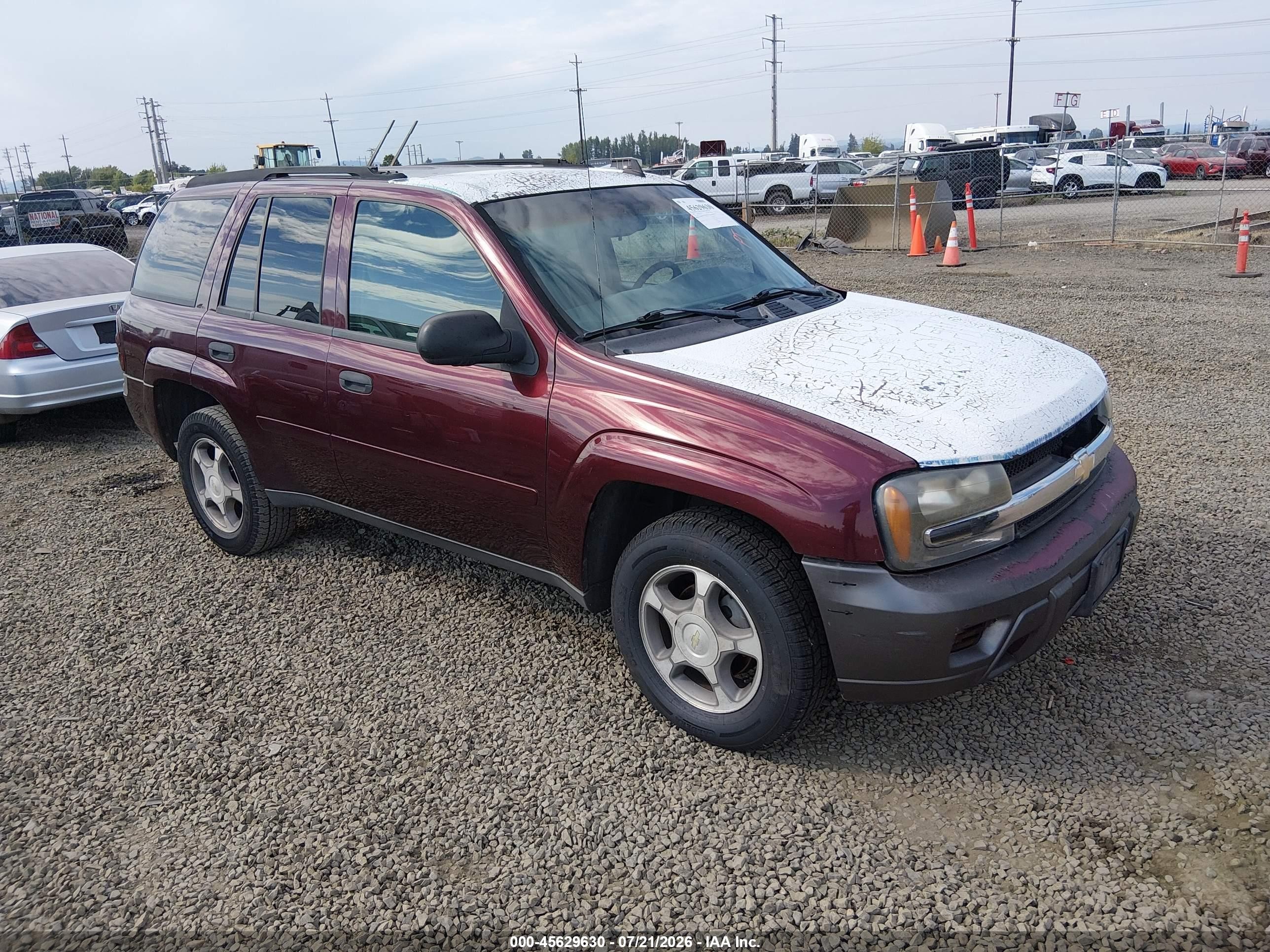 2006 Chevrolet TrailBlazer LS, VIN 1GNDT13SX62349456 — Normal wear