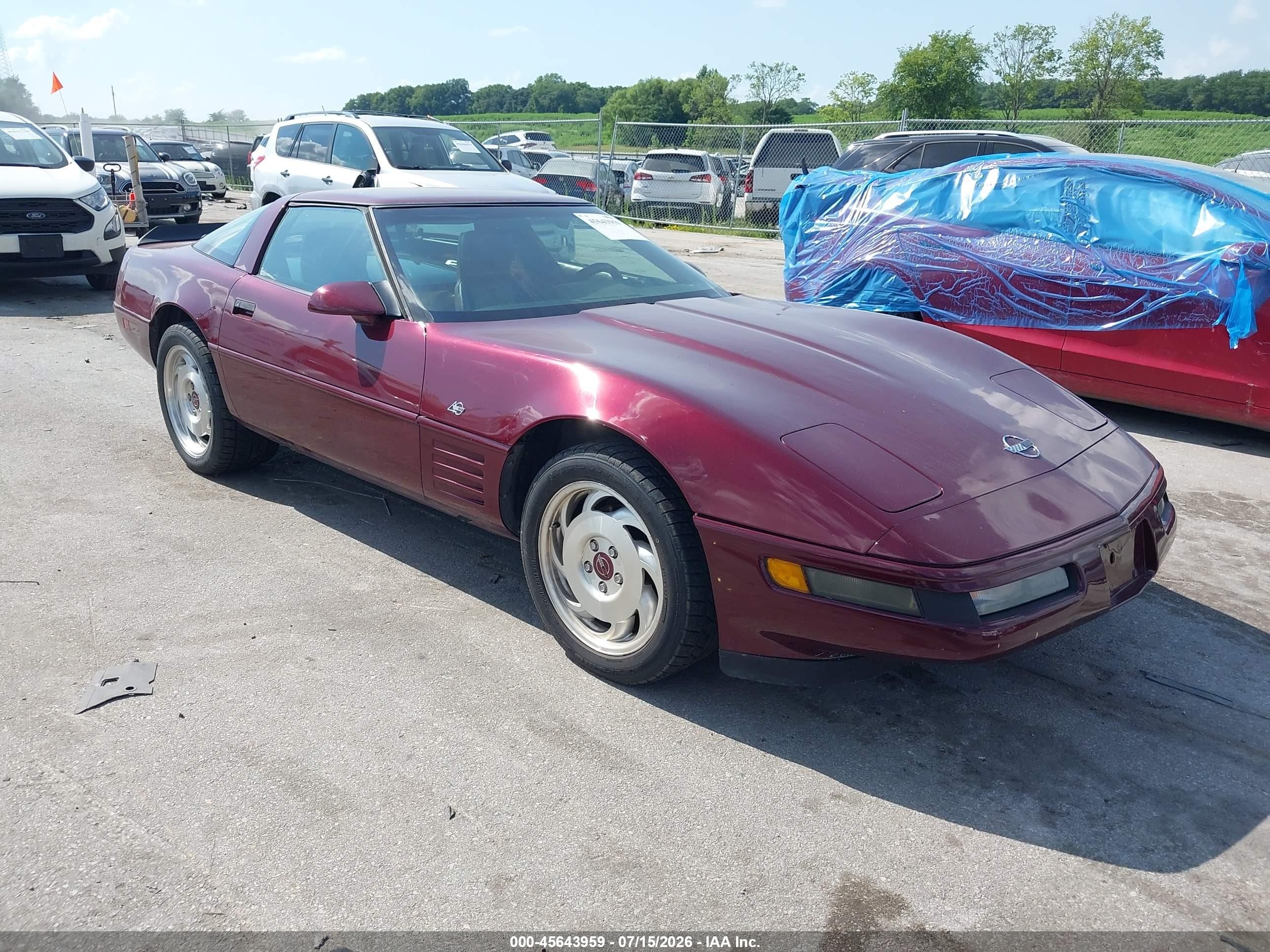 1993 Chevrolet Corvette, VIN 1G1YY23P5P5103291 — Fresh water flood