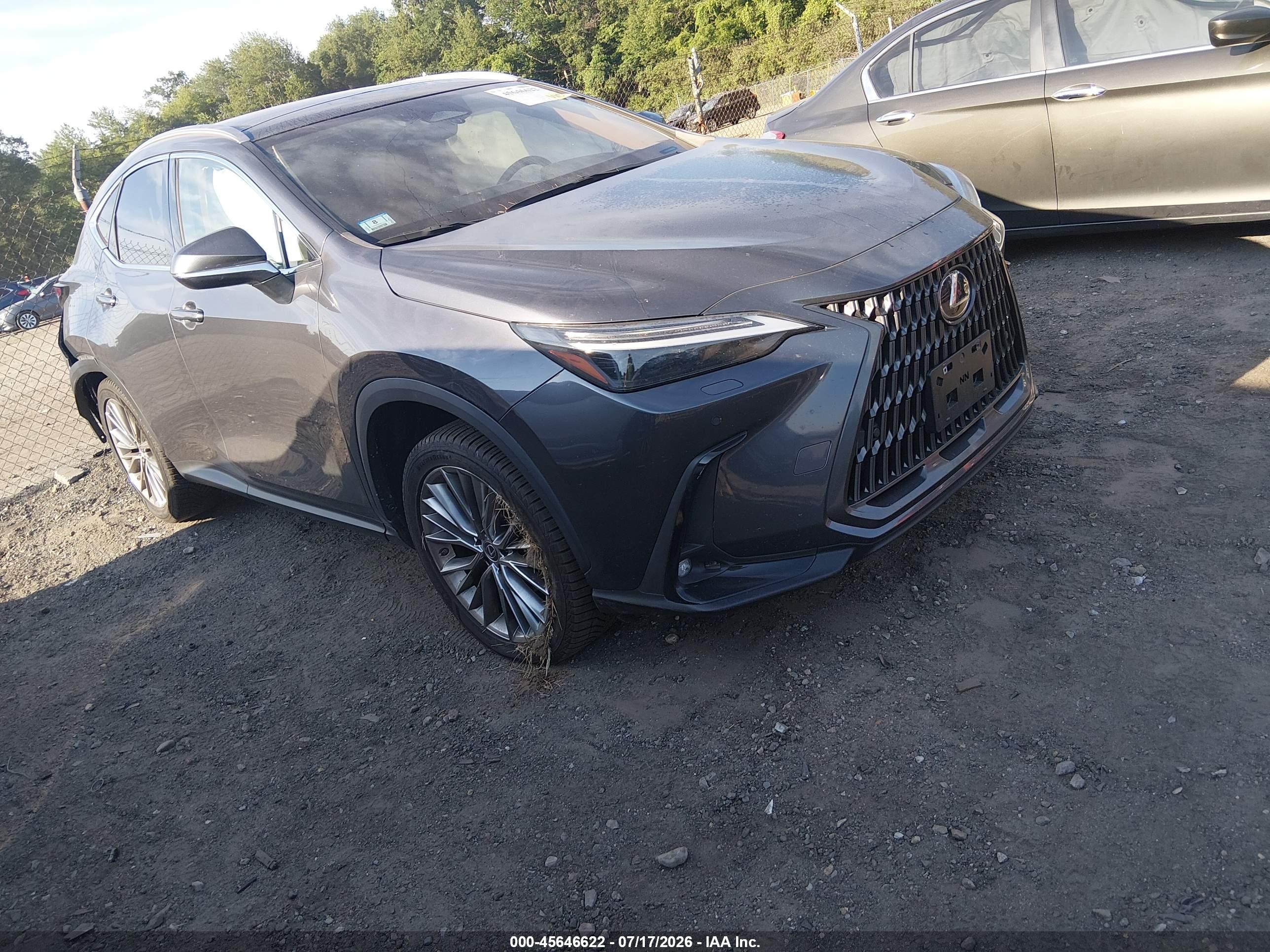 2022 Lexus NX 350 Luxury, VIN JTJHGCEZ8N2005897 — Side
