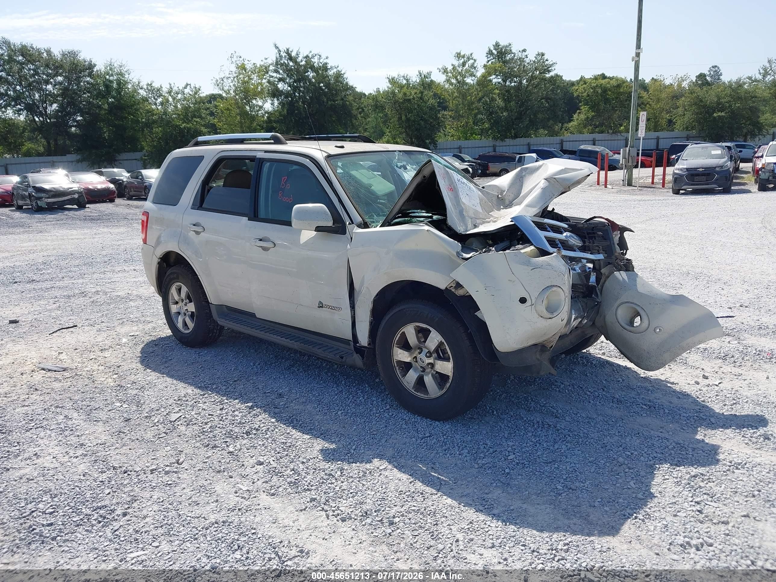 2010 Ford Escape Hybrid, VIN 1FMCU4K38AKA13645 — Front end