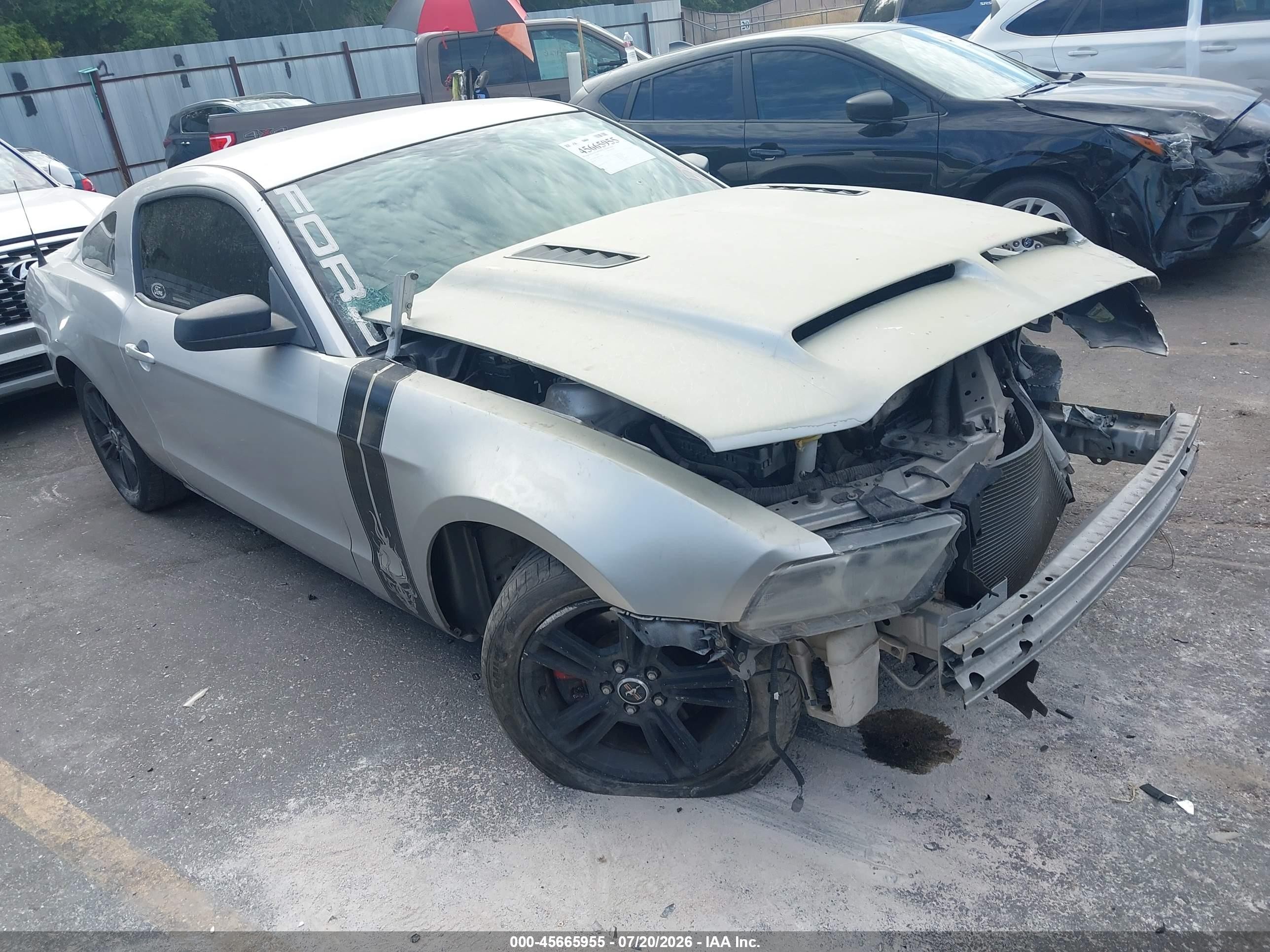 2014 Ford Mustang V6, VIN 1ZVBP8AMXE5239891 — All over