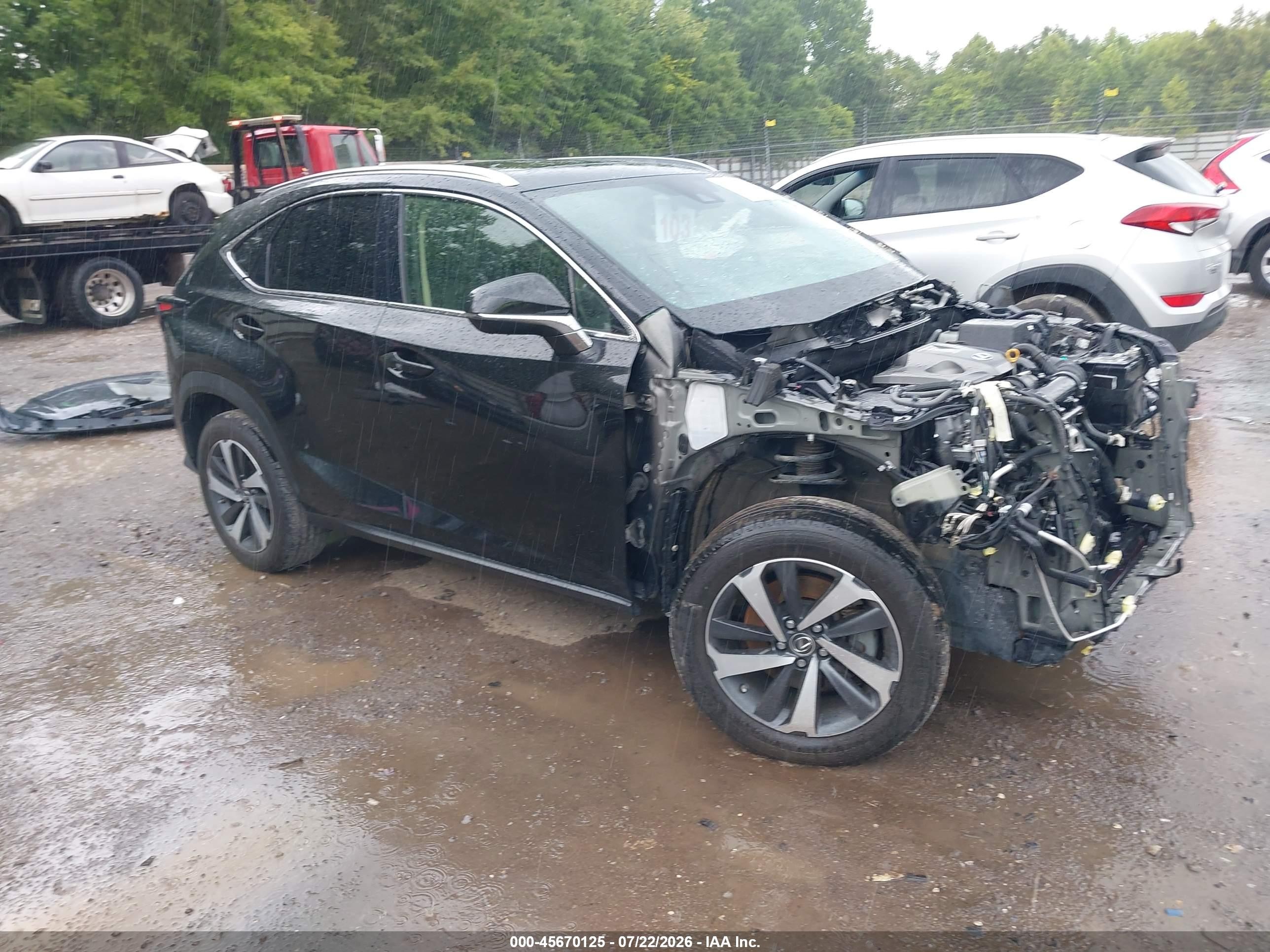2020 Lexus NX 300, VIN JTJGARDZ2L5003673 — Перед