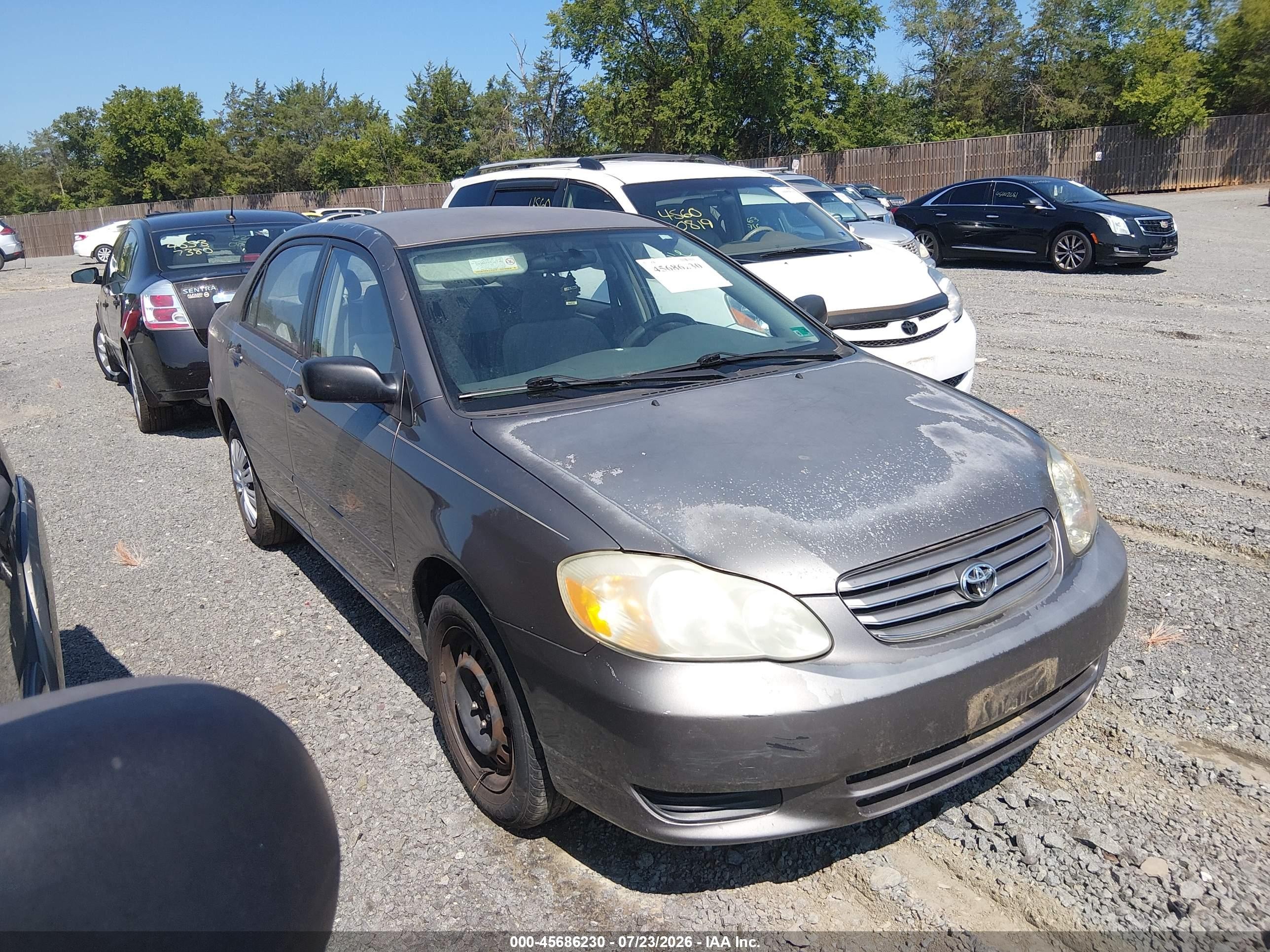 2003 Toyota Corolla LE, VIN 1NXBR38E43Z157278 — Normal wear
