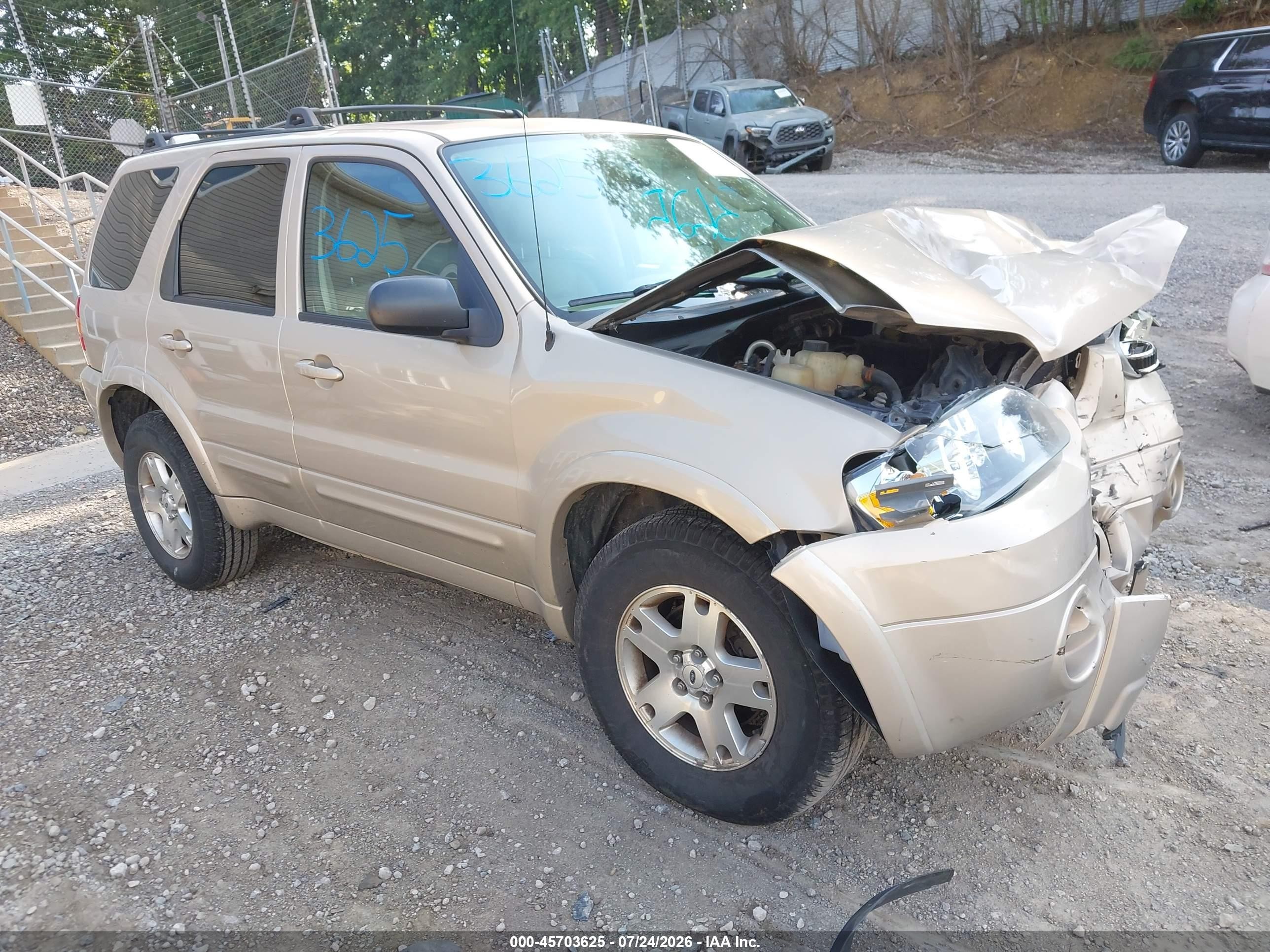2007 Ford Escape Limited, VIN 1FMYU94117KA15244 — Front end