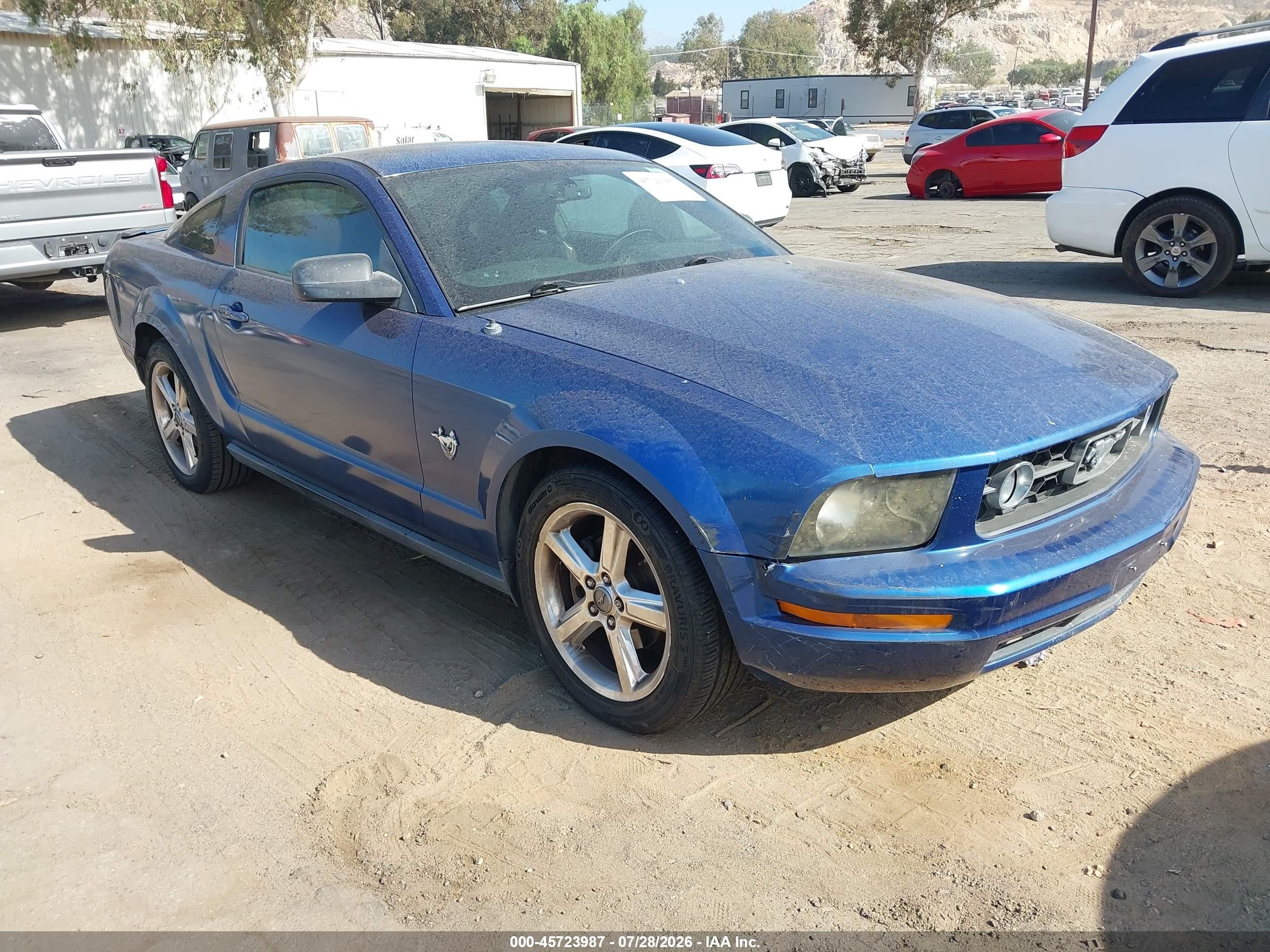 2009 Ford Mustang, VIN 1ZVHT80N495119591 — Normal wear
