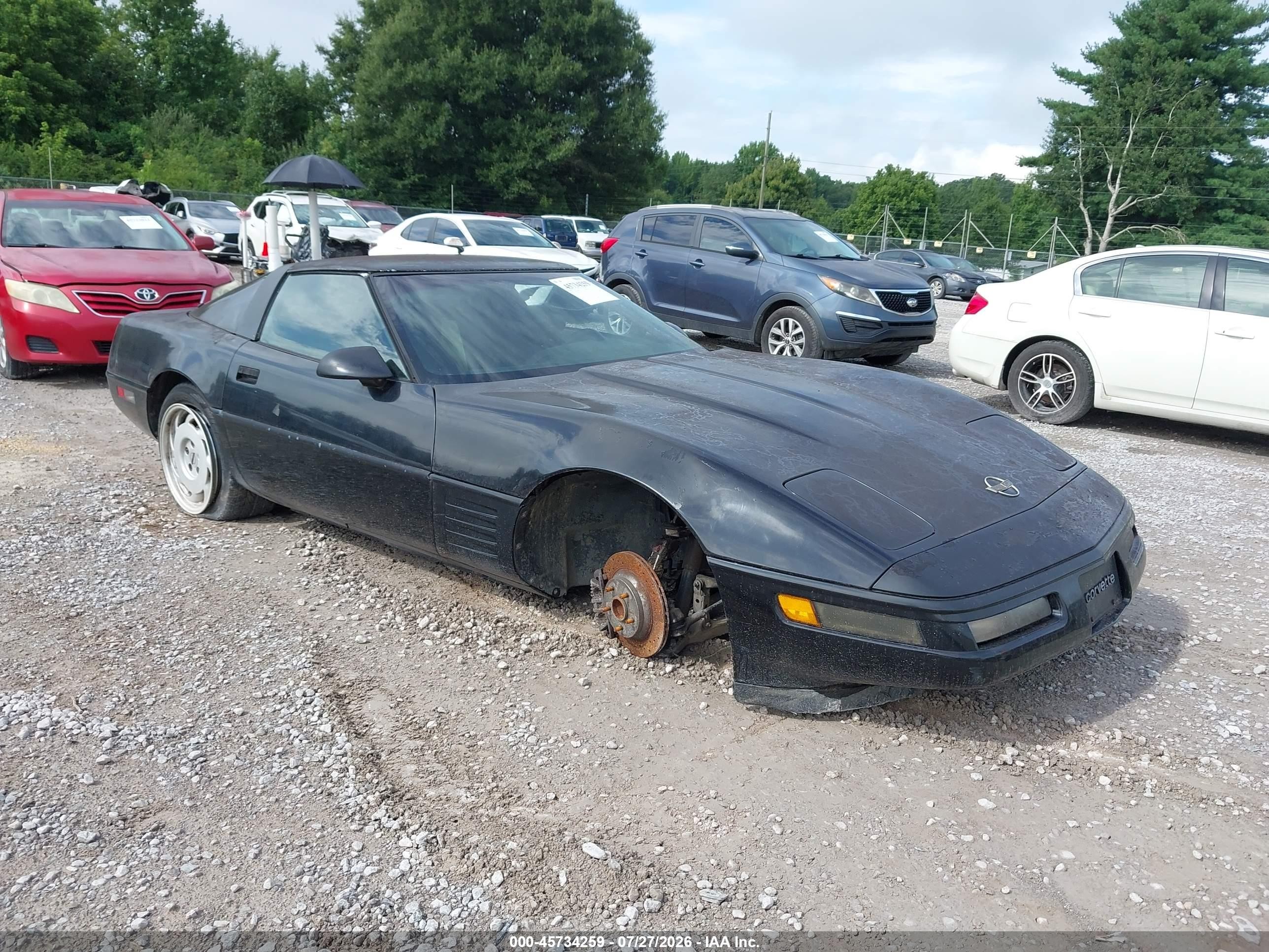 1992 Chevrolet Corvette, VIN 1G1YY23P8N5116937 — Обычный износ