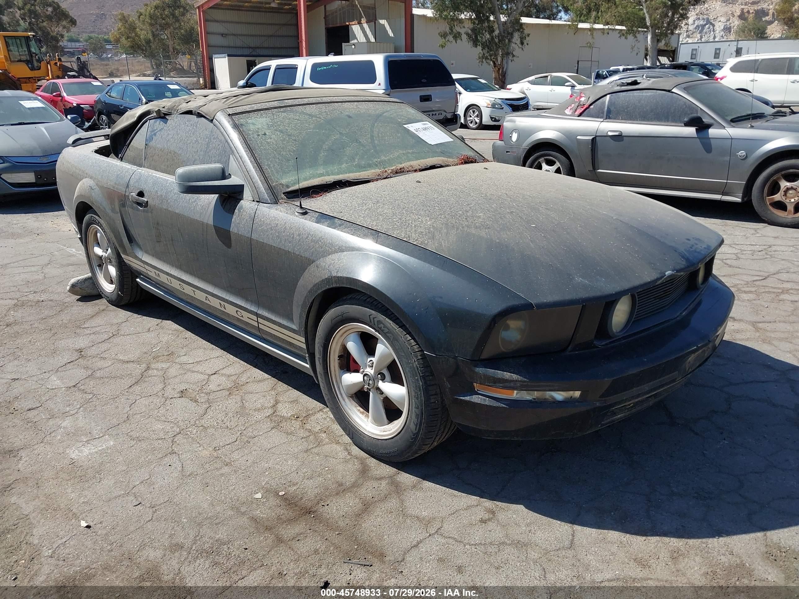 2005 Ford Mustang Deluxe, VIN 1ZVFT84N055248682 — Normal wear