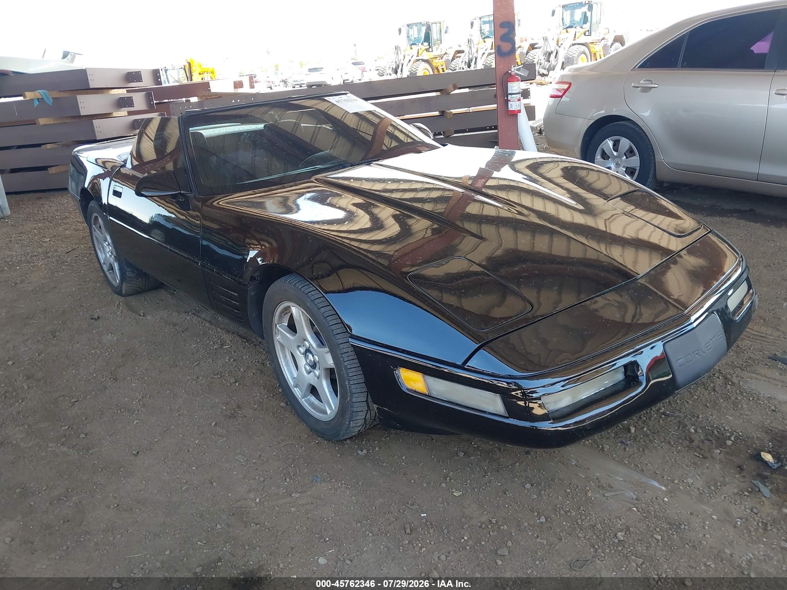 1991 Chevrolet Corvette, VIN 1G1YY3388M5116286 — Зад