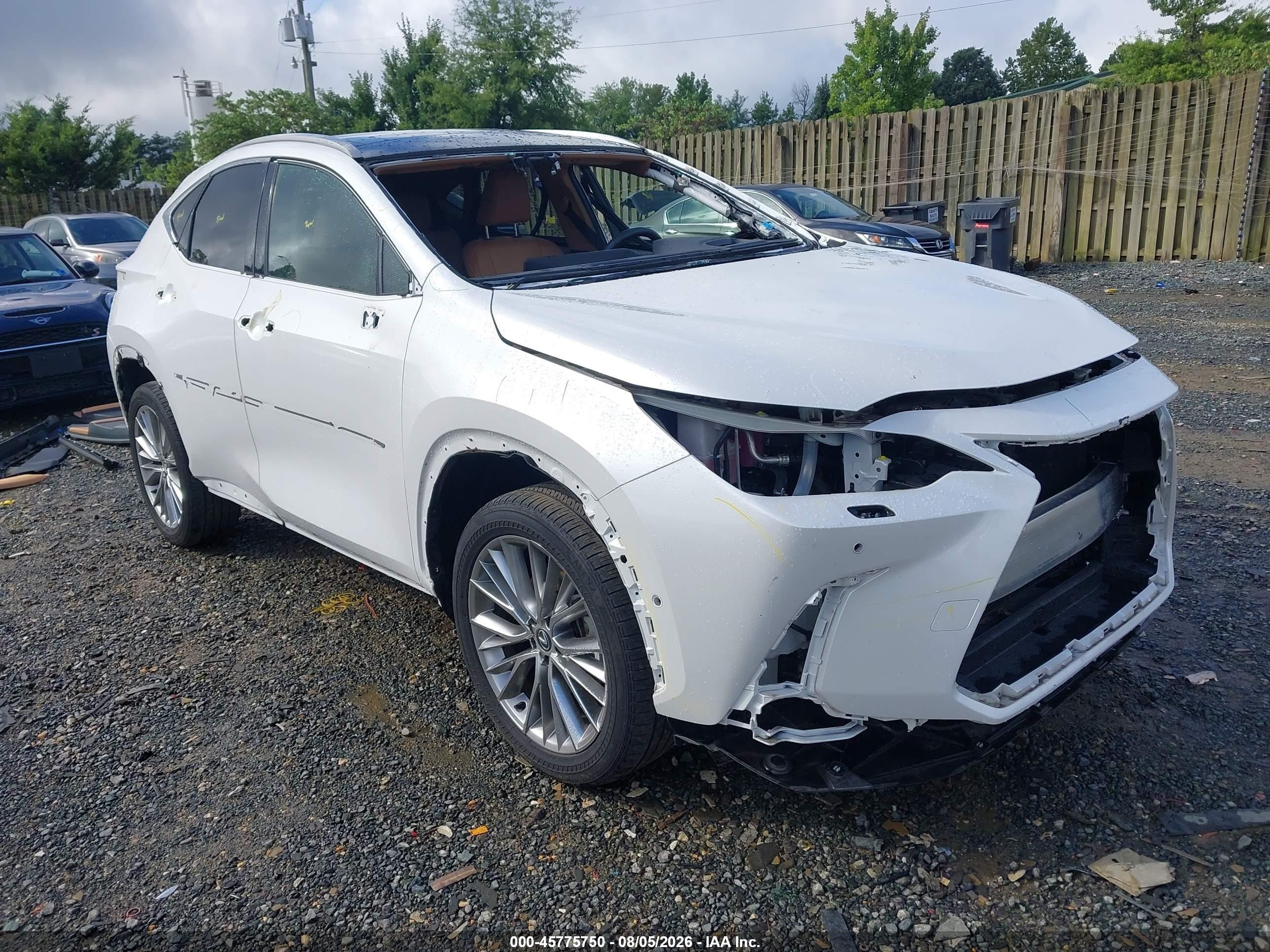 2025 Lexus NX 350 Luxury, VIN 2T2HGCEZ4SC061332 — All over