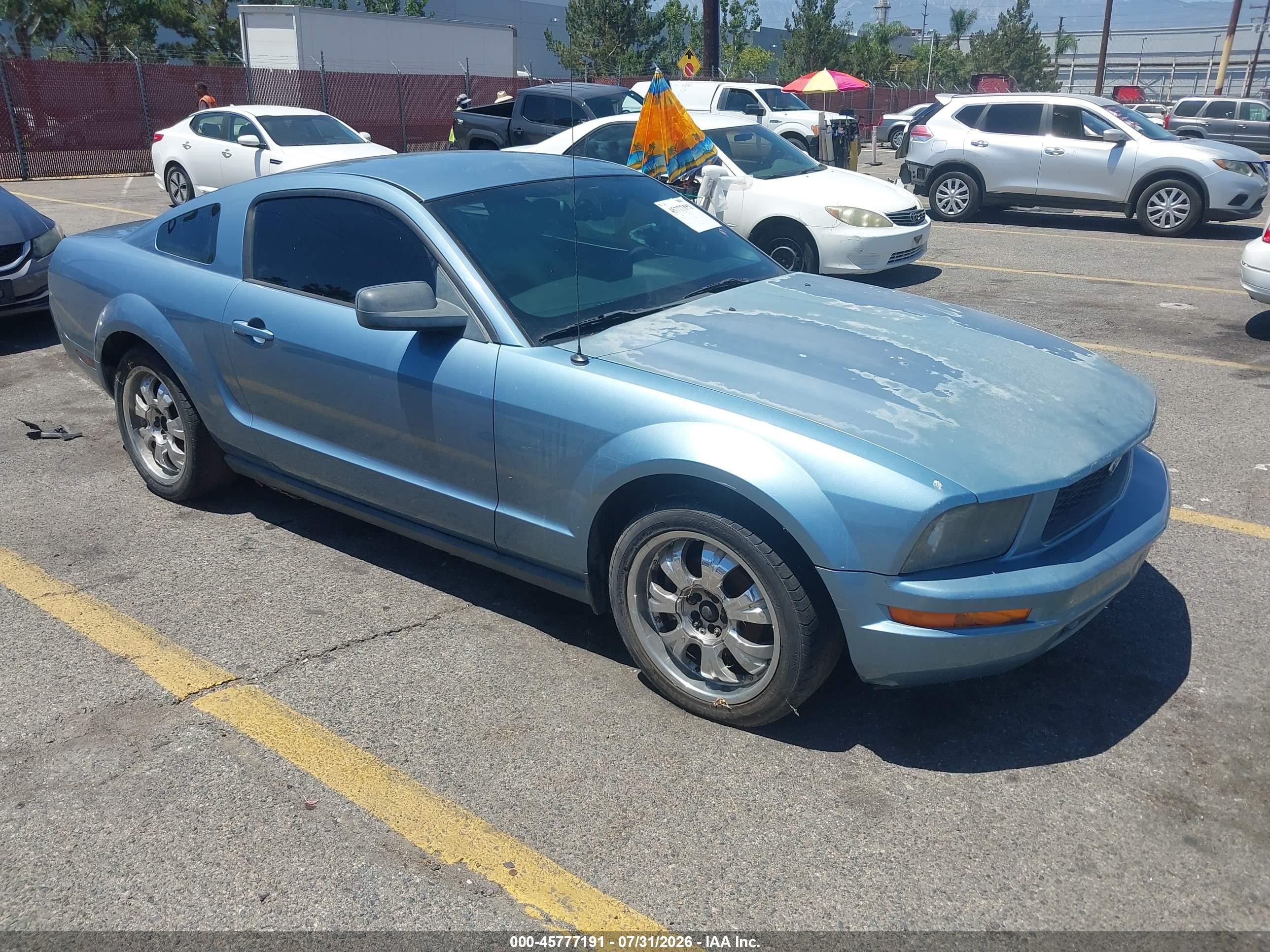 2006 Ford Mustang Standard, VIN 1ZVFT80N865123209 — Normal wear