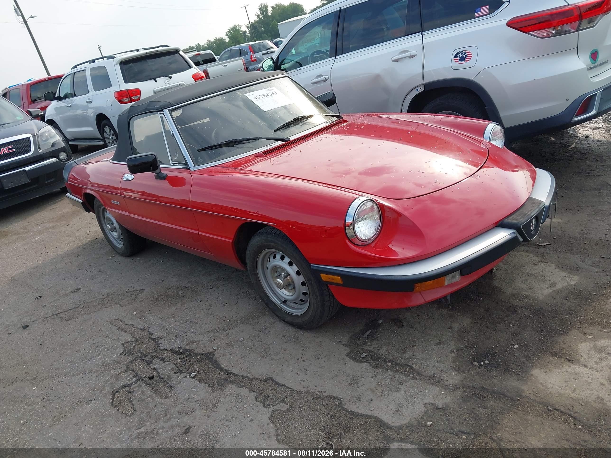 1987 Alfa Romeo Spider Graduate, VIN ZARBA5648H1045552 — Normal wear