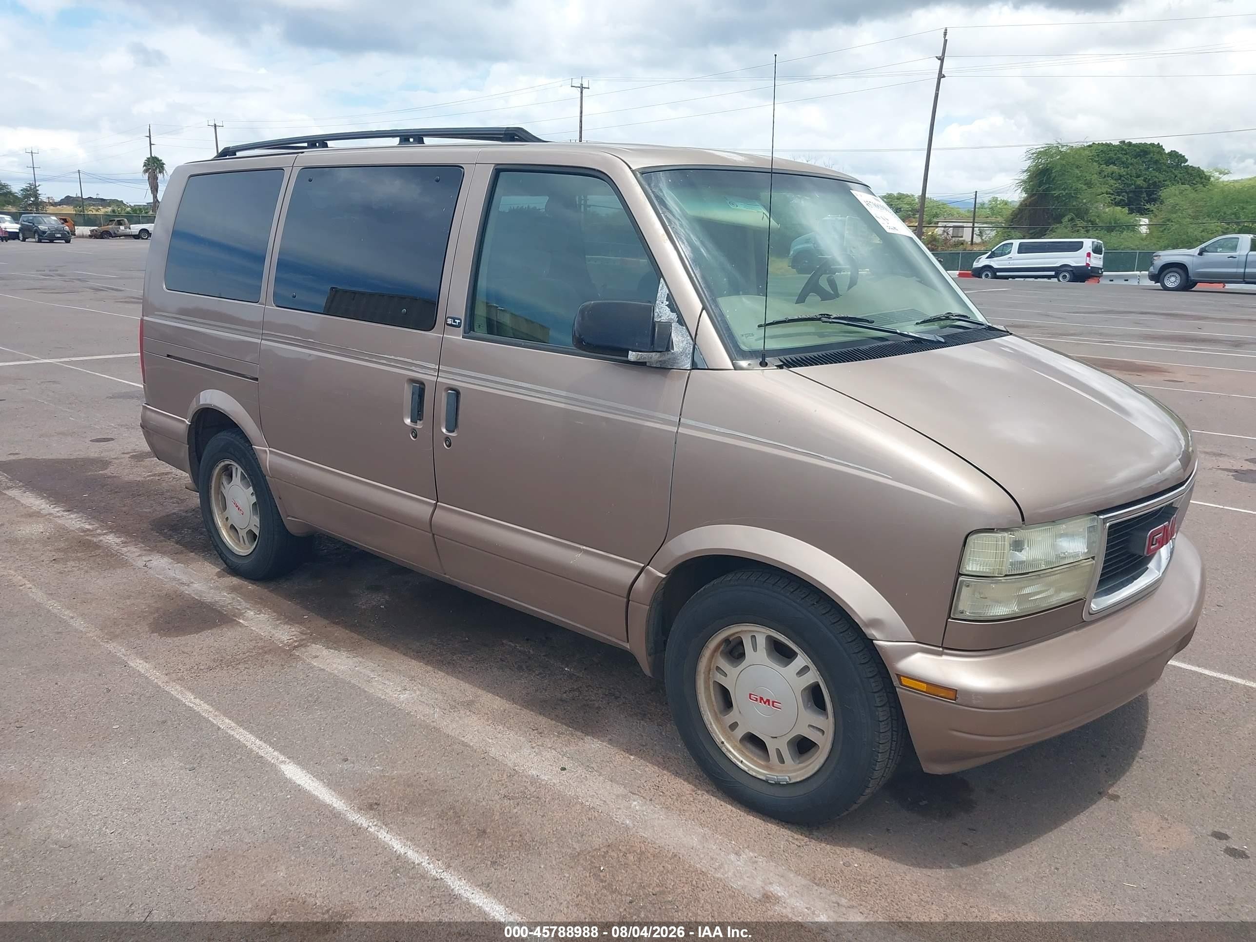 2003 GMC Safari, VIN 1GKDM19X13B502394 — По всему кузову