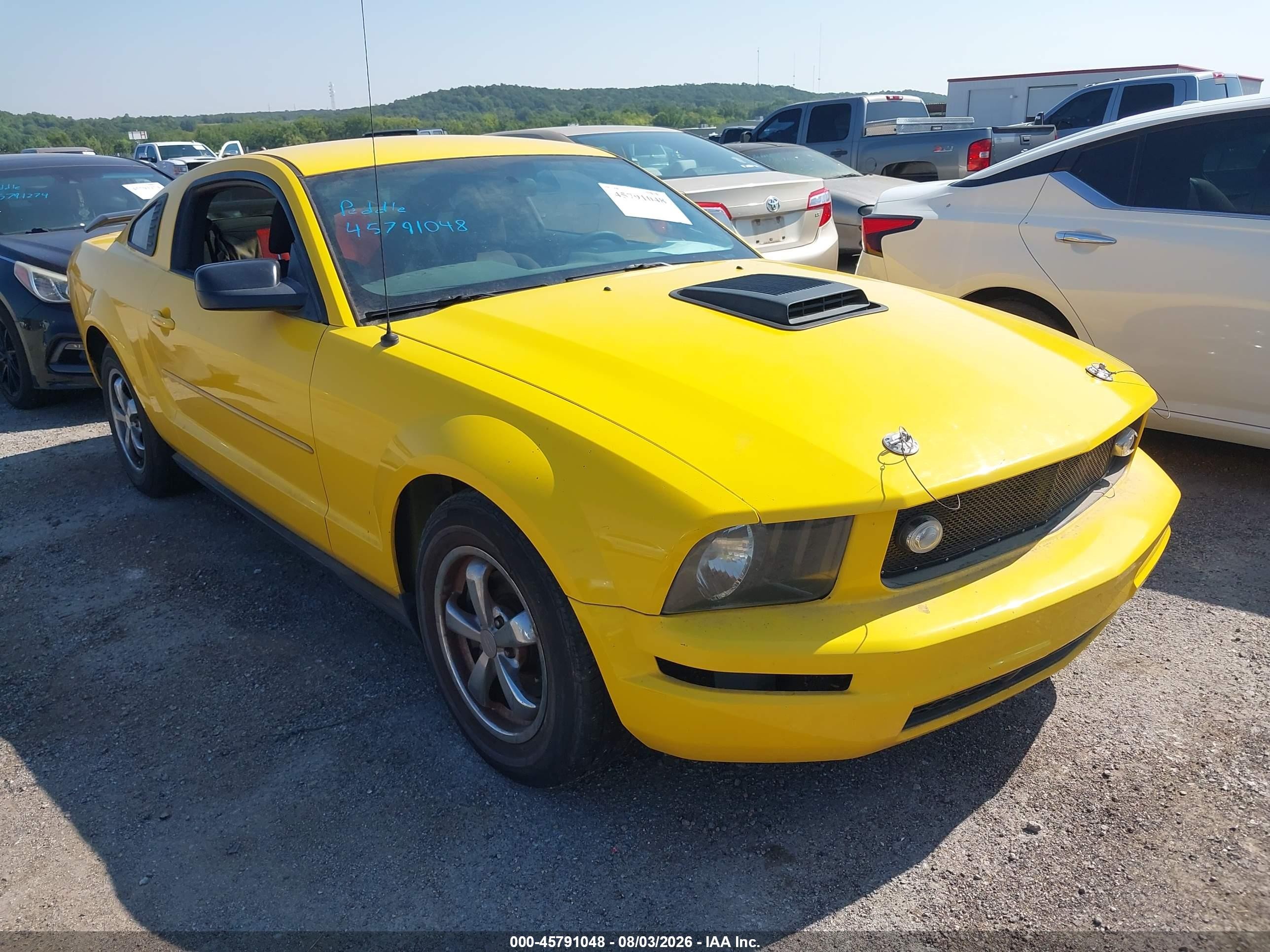 2006 Ford Mustang Standard, VIN 1ZVFT80N265192834 — Normal wear