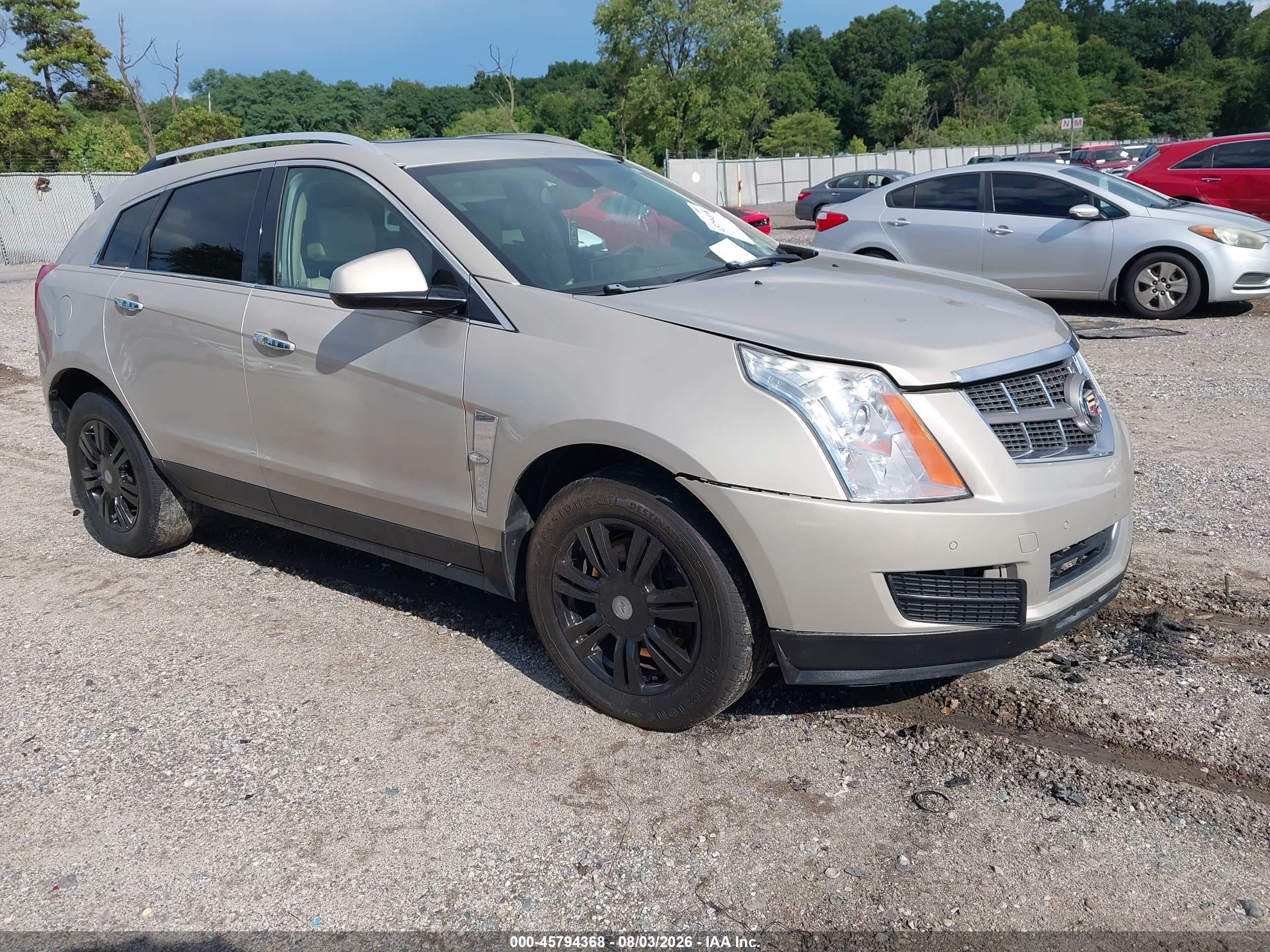 2011 Cadillac SRX Luxury Collection, VIN 3GYFNAEY4BS568449 — Обычный износ