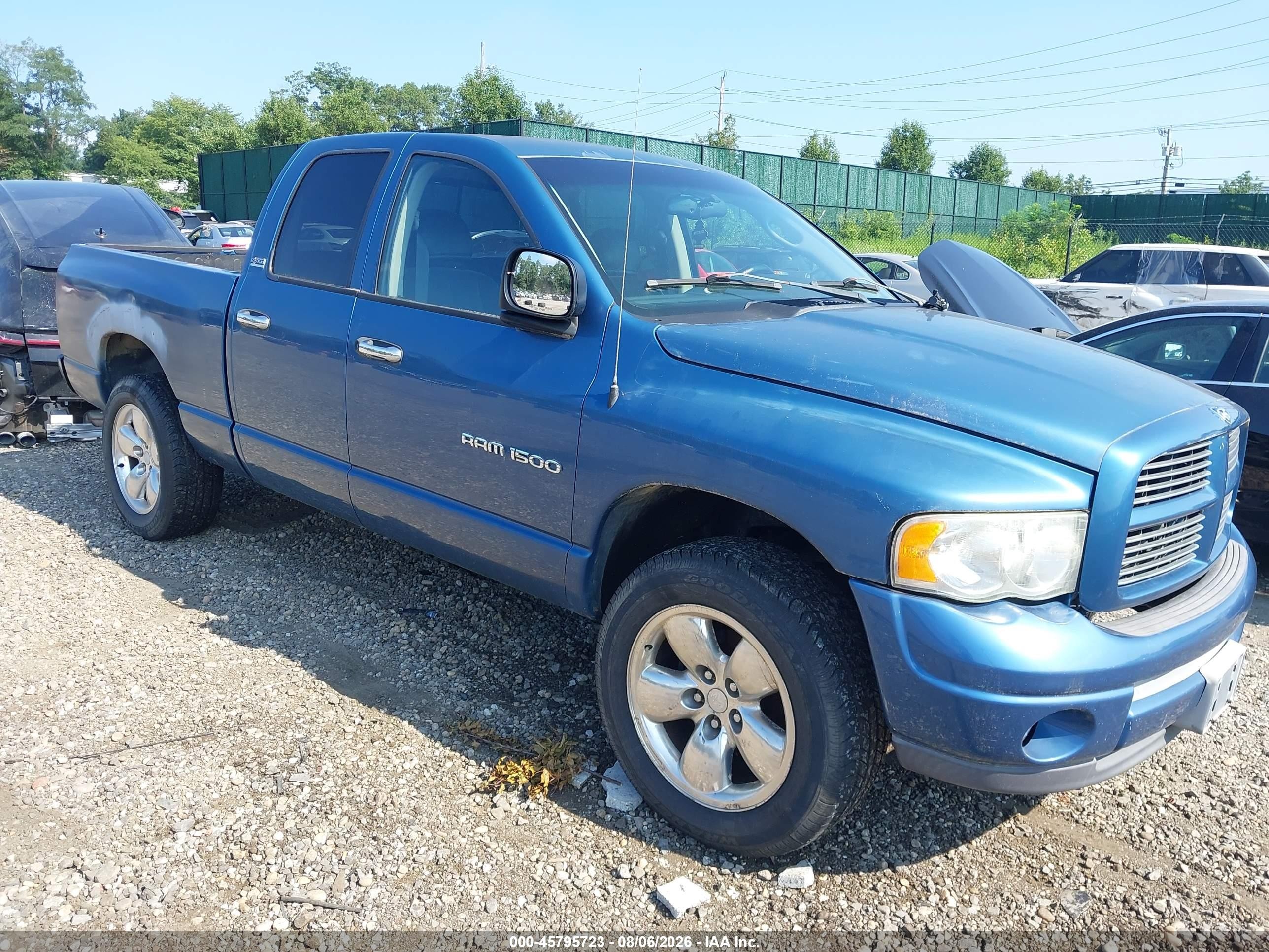 2002 Dodge 1500, VIN 1D7HU18Z92J206663 — По всему кузову