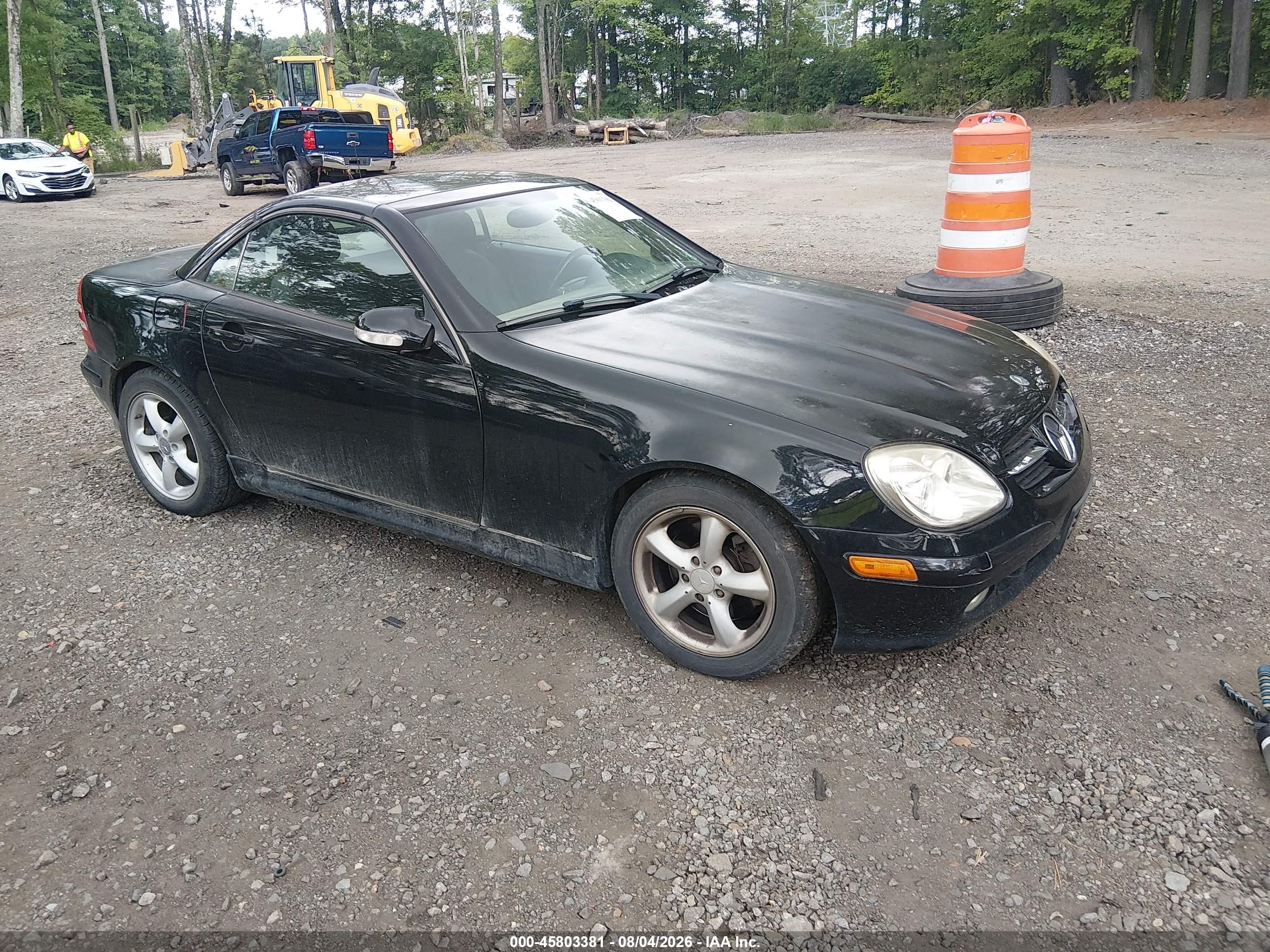 2004 Mercedes-Benz SLK 230/320, VIN WDBKK65F04F303333 — Обычный износ