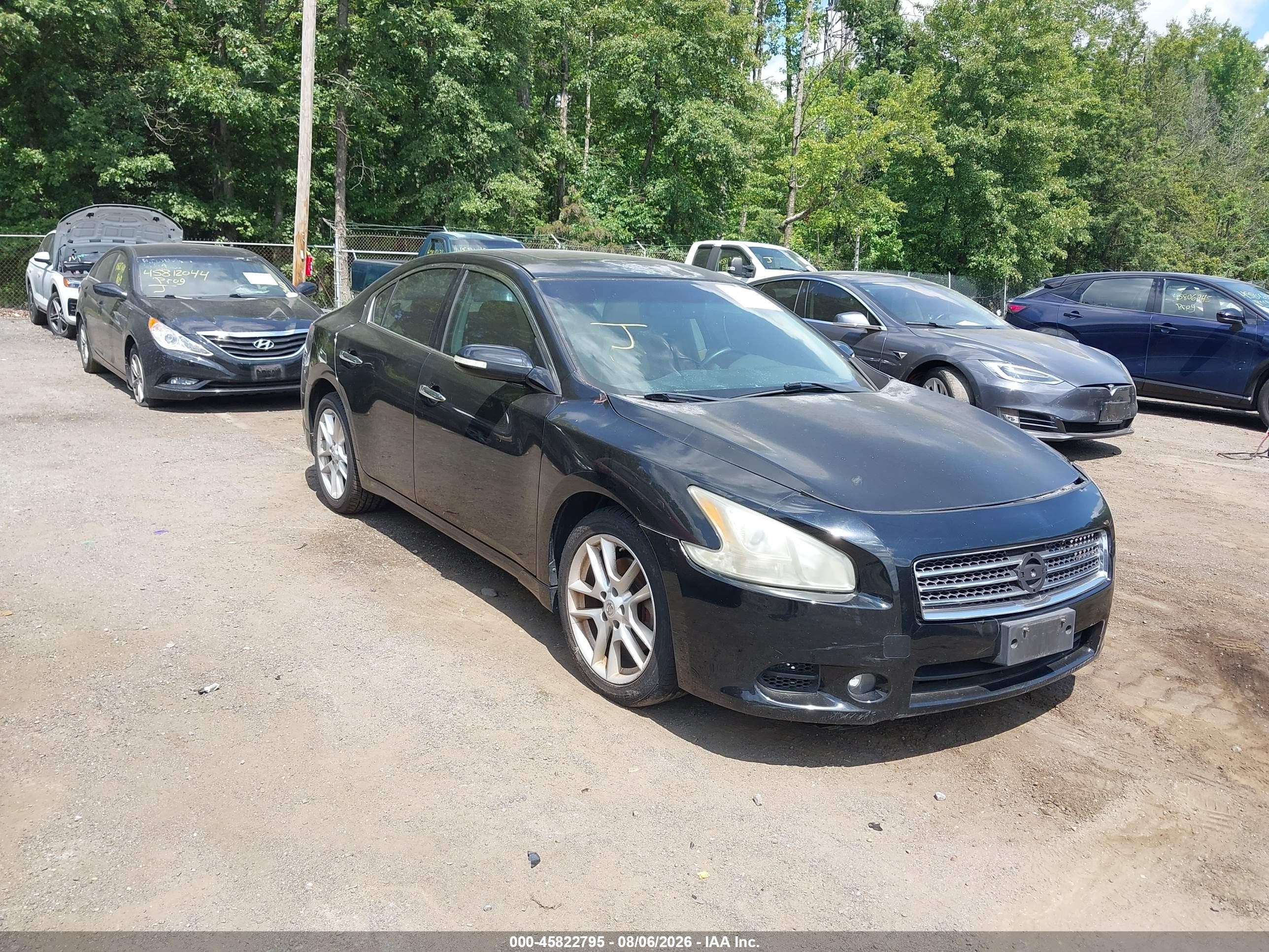2011 Nissan Maxima SV, VIN 1N4AA5AP8BC850735 — Перед