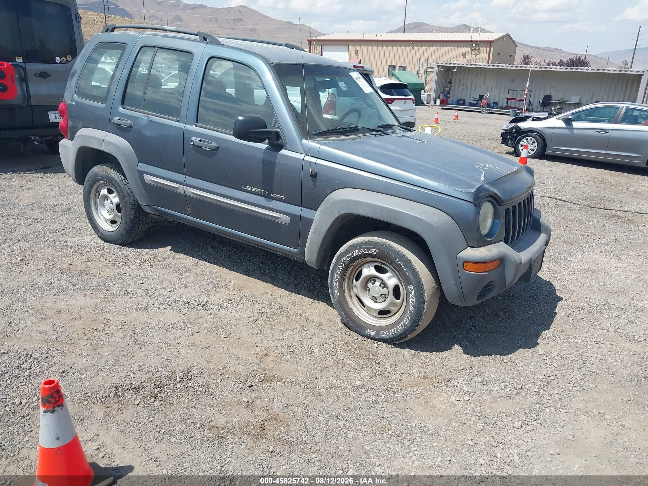 2002 Jeep Liberty Sport, VIN 1J4GL48K72W201553 — Обычный износ