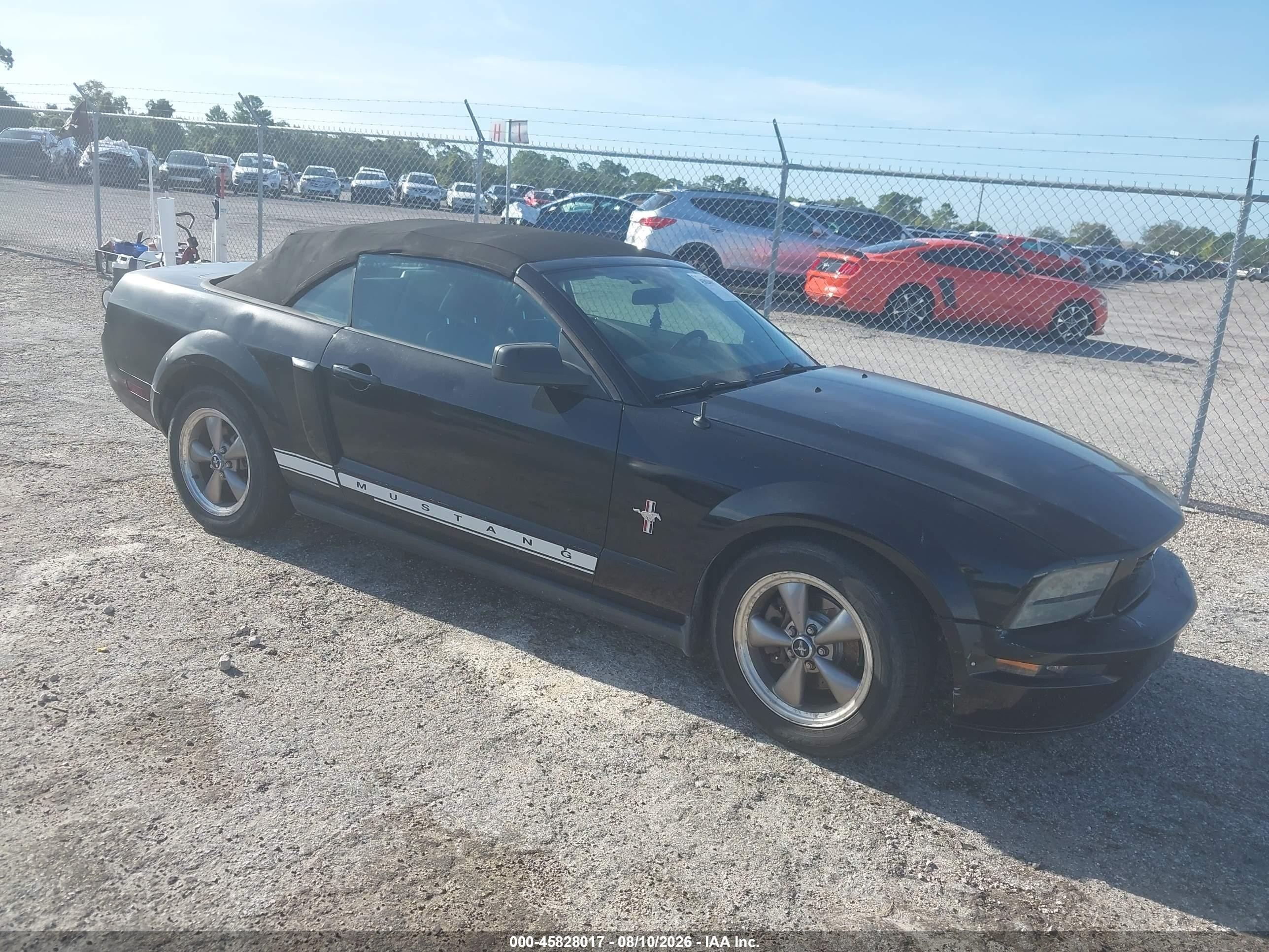 2006 Ford Mustang Standard, VIN 1ZVHT84N565256268 — Rear end