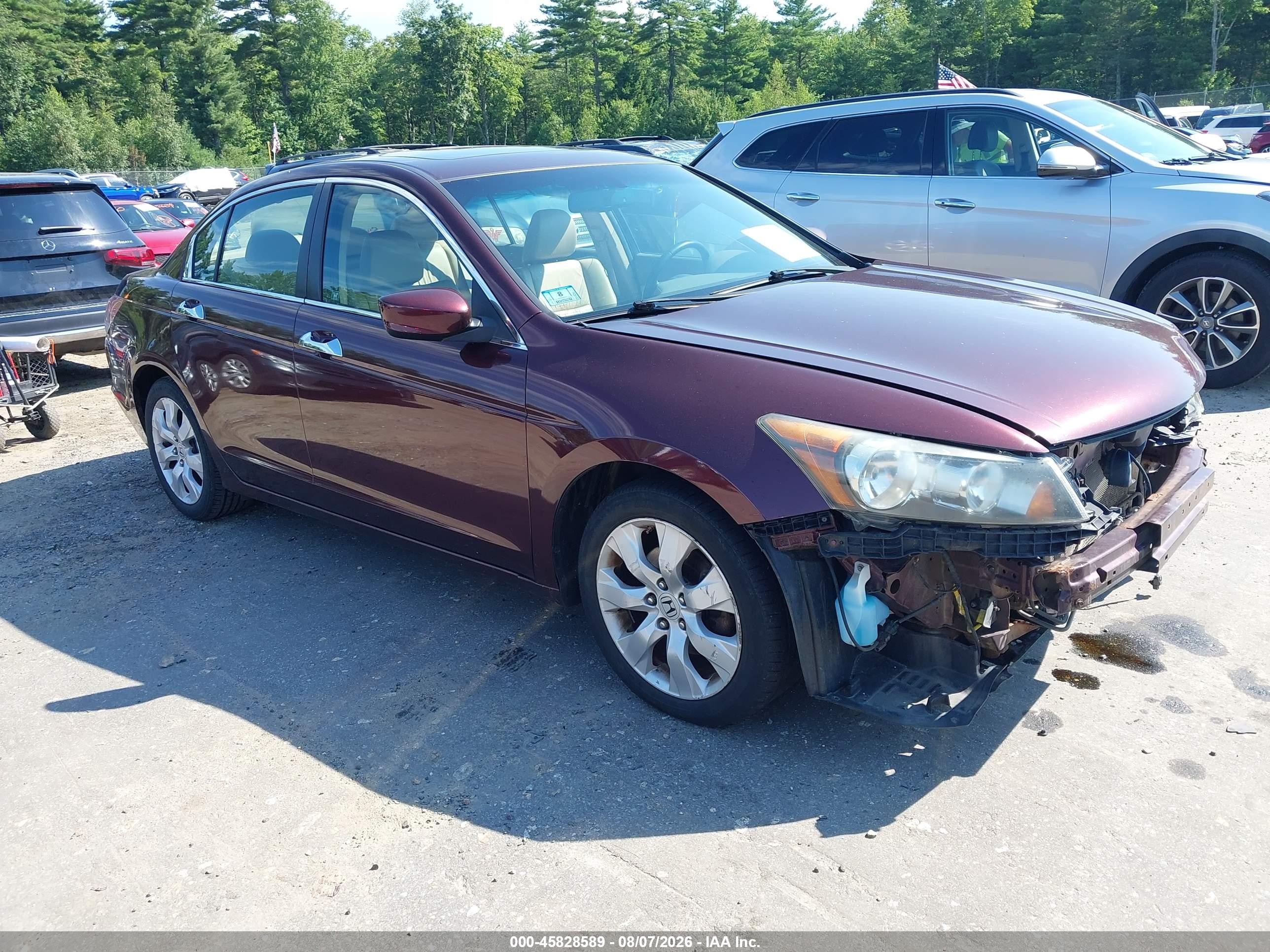 2010 Honda Accord EX-L, VIN 5KBCP3F8XAB016282 — Front end