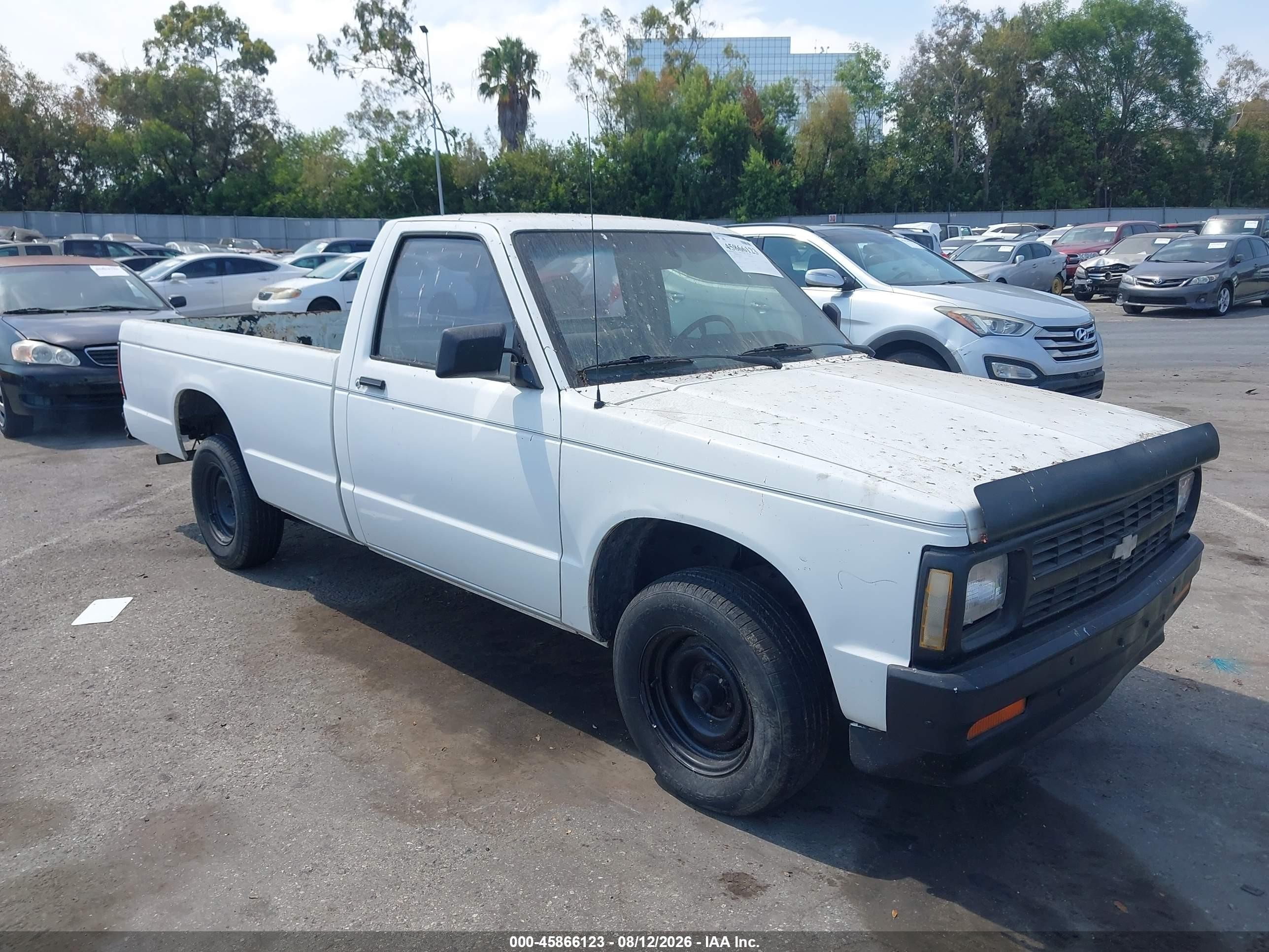 1991 Chevrolet S-10, VIN 1GCCS14ZXM8100717 — Normal wear